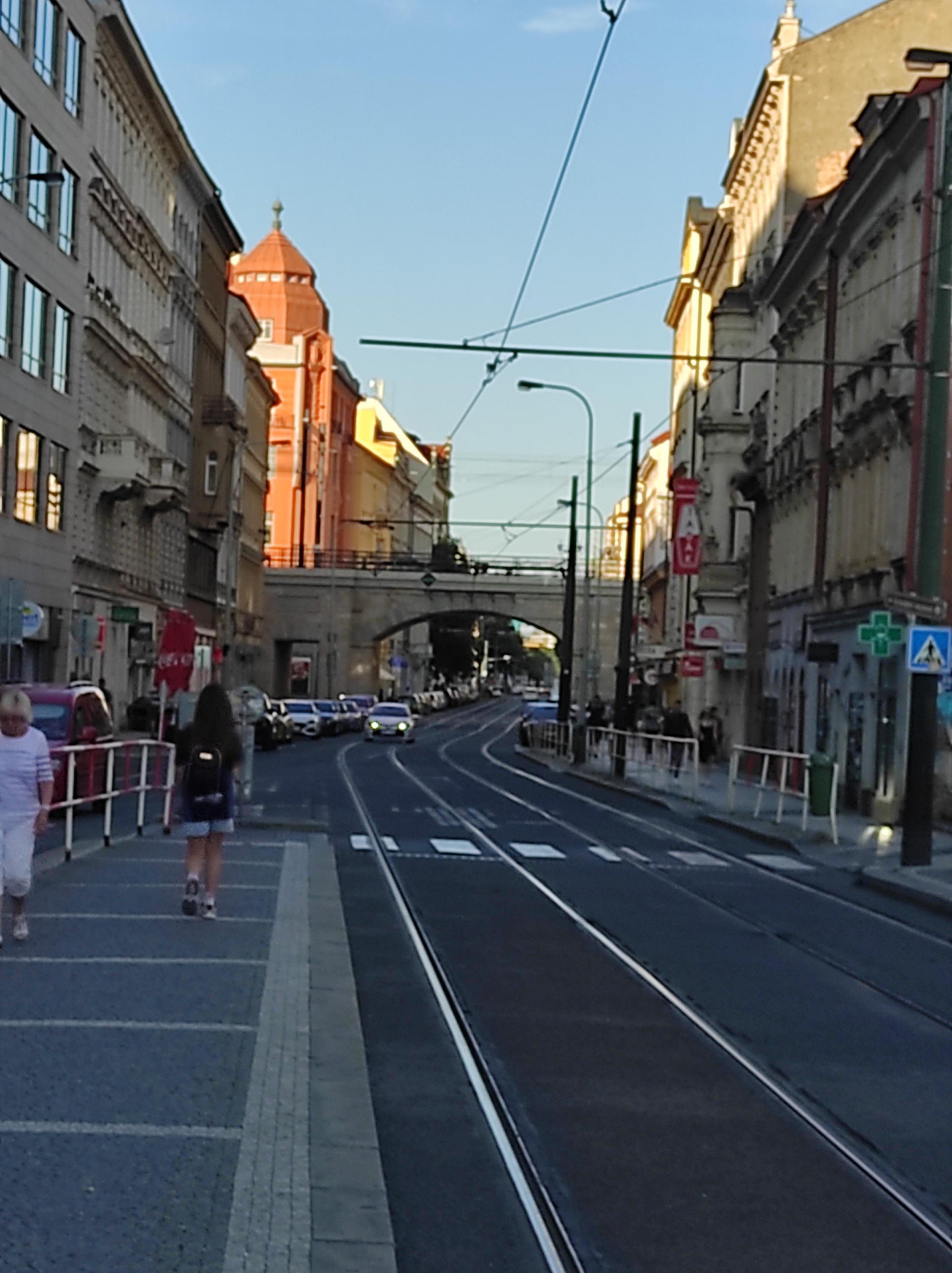 Canisterapie ze Širokadaleka foto 1