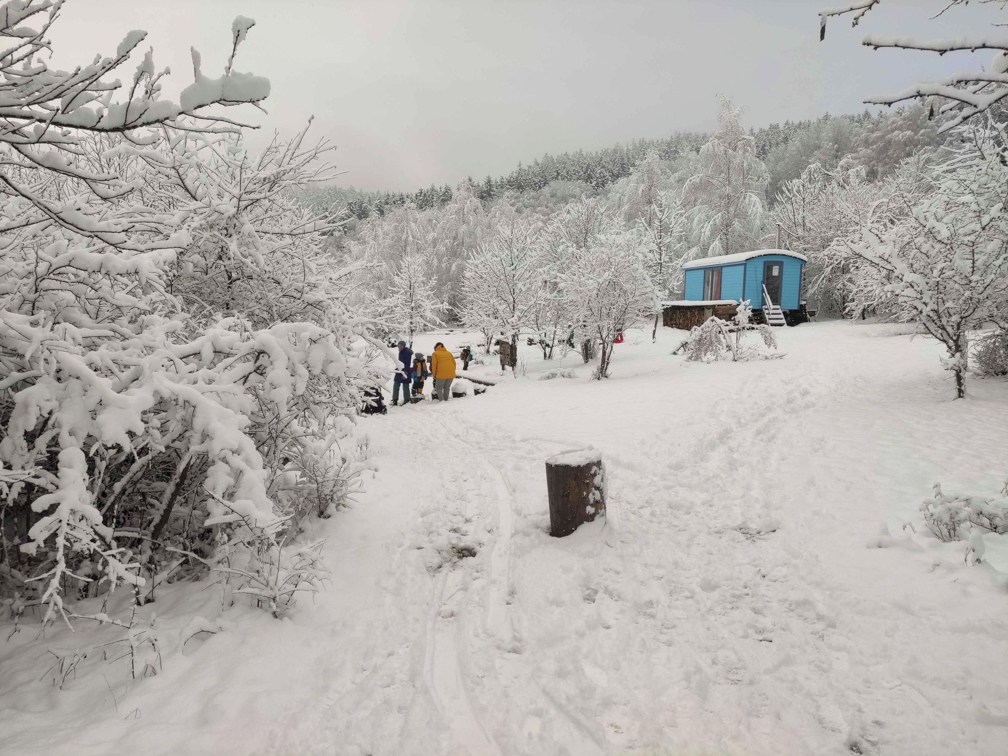 Lesní mateřská škola Svatošky foto 5