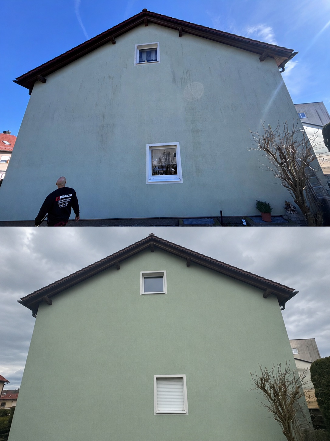 Renocist foto 2