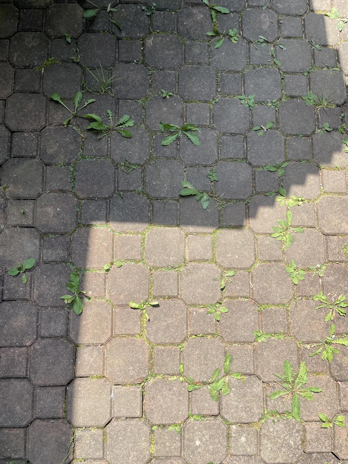 Vaporeno foto 5