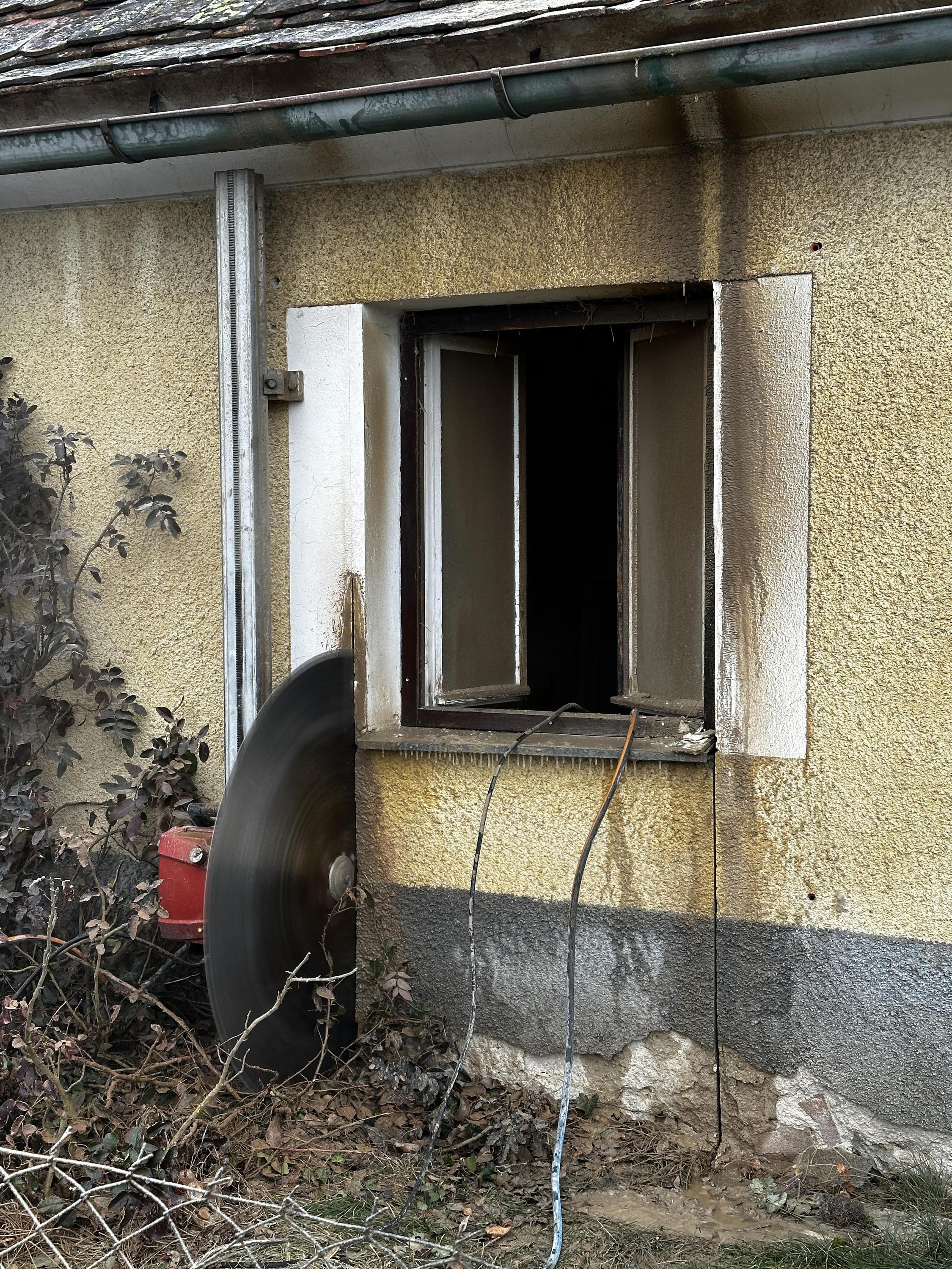 Stěnořez foto 2