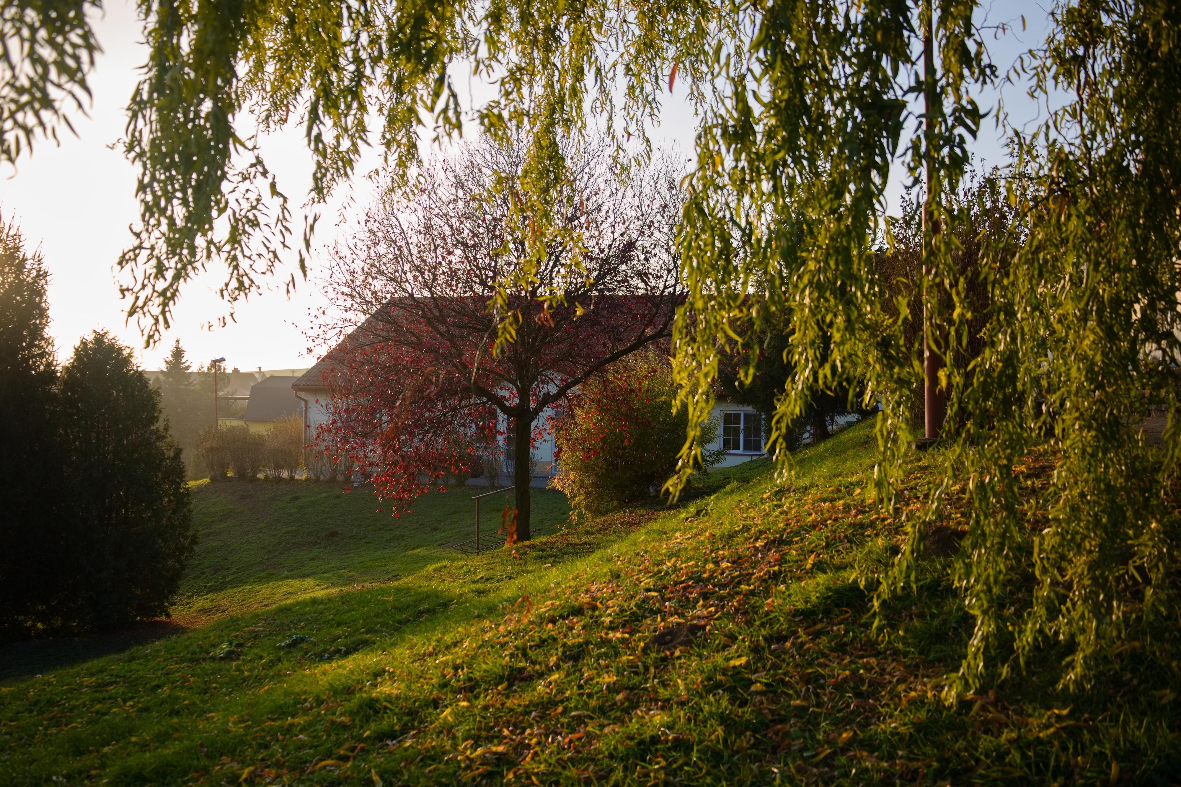 Dřínov - obecní úřad foto 4
