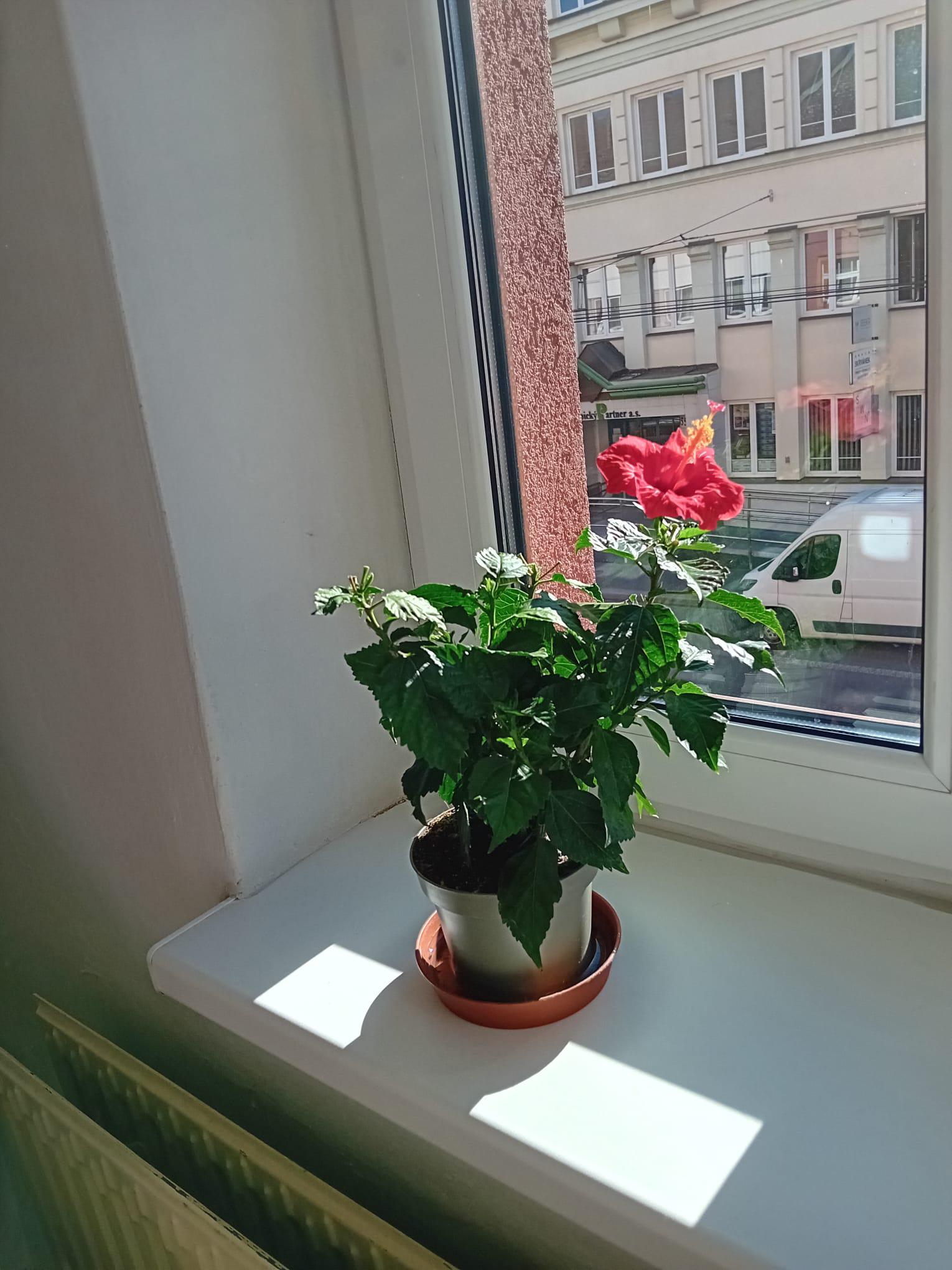Hasičský záchranný sbor Pardubického kraje foto 2