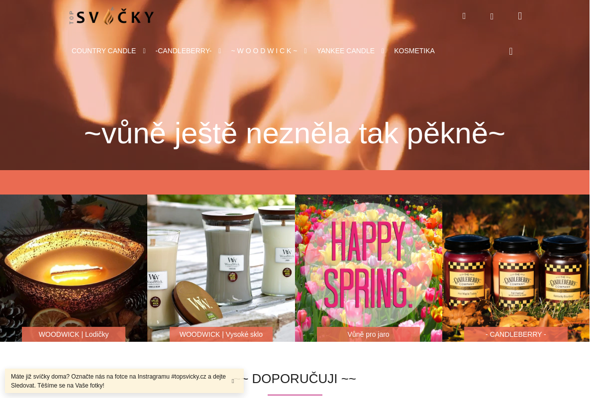 Topsvicky.cz