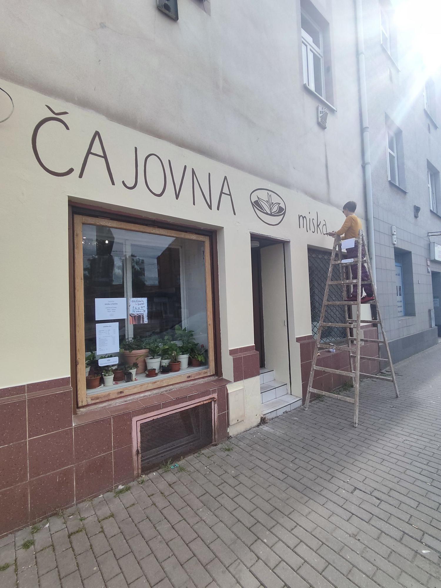 čajovna miska s listím foto 2