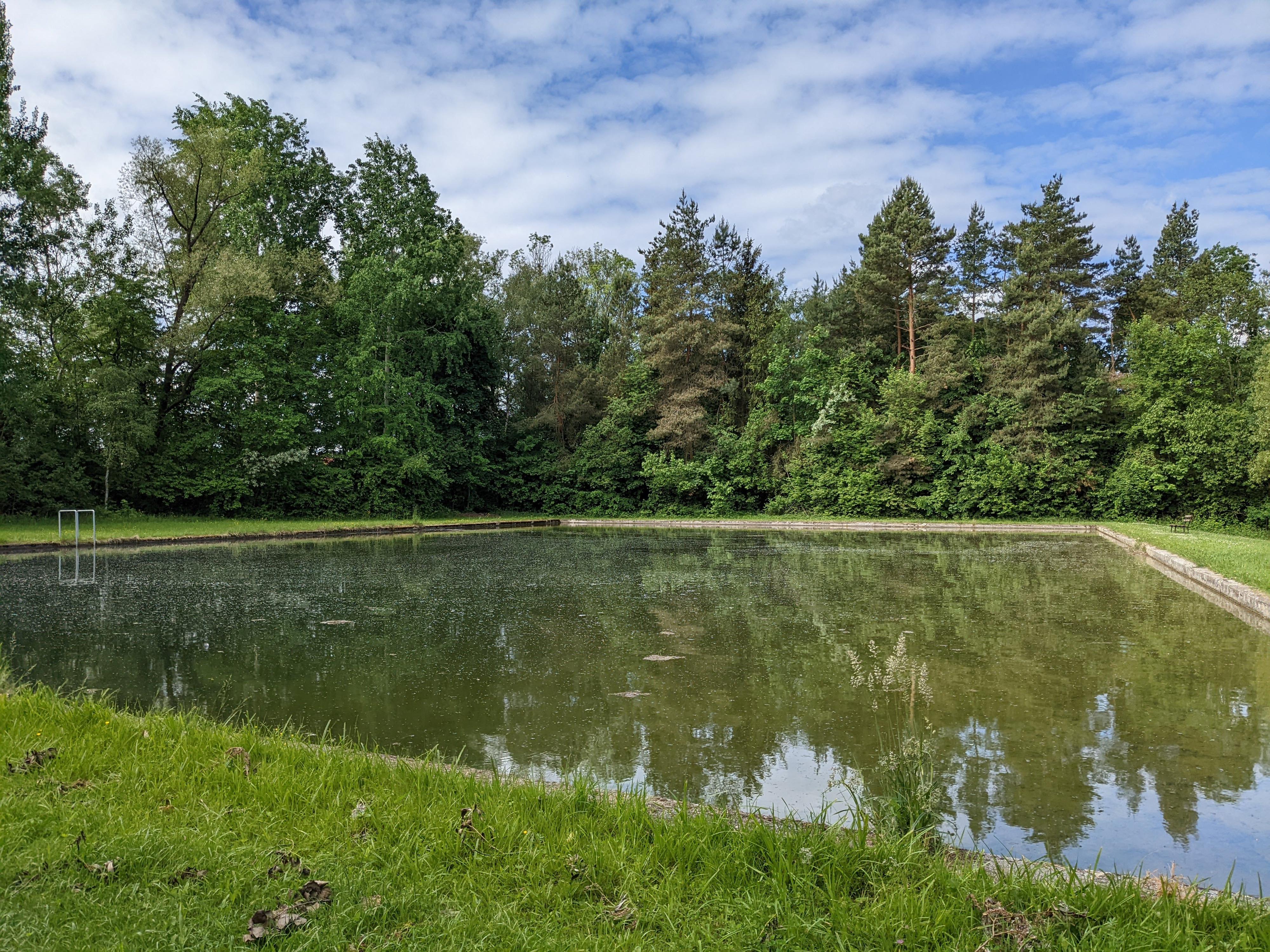 Přírodní koupaliště Osov foto 2