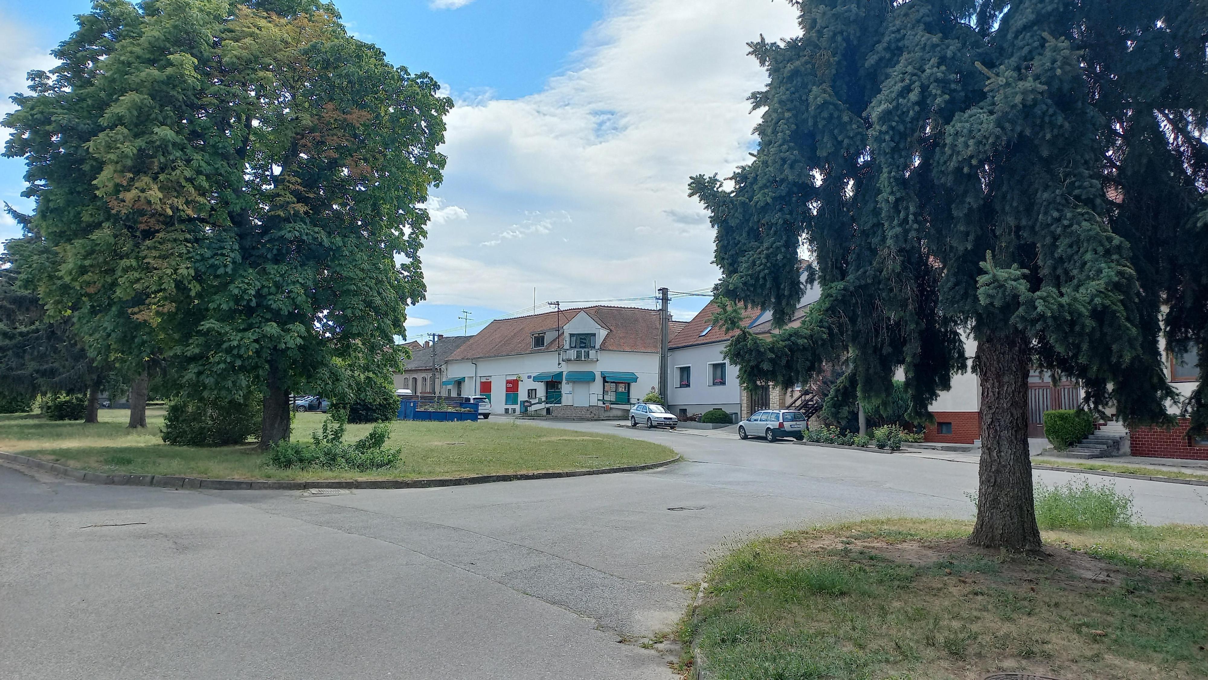 HRUŠKA foto 1