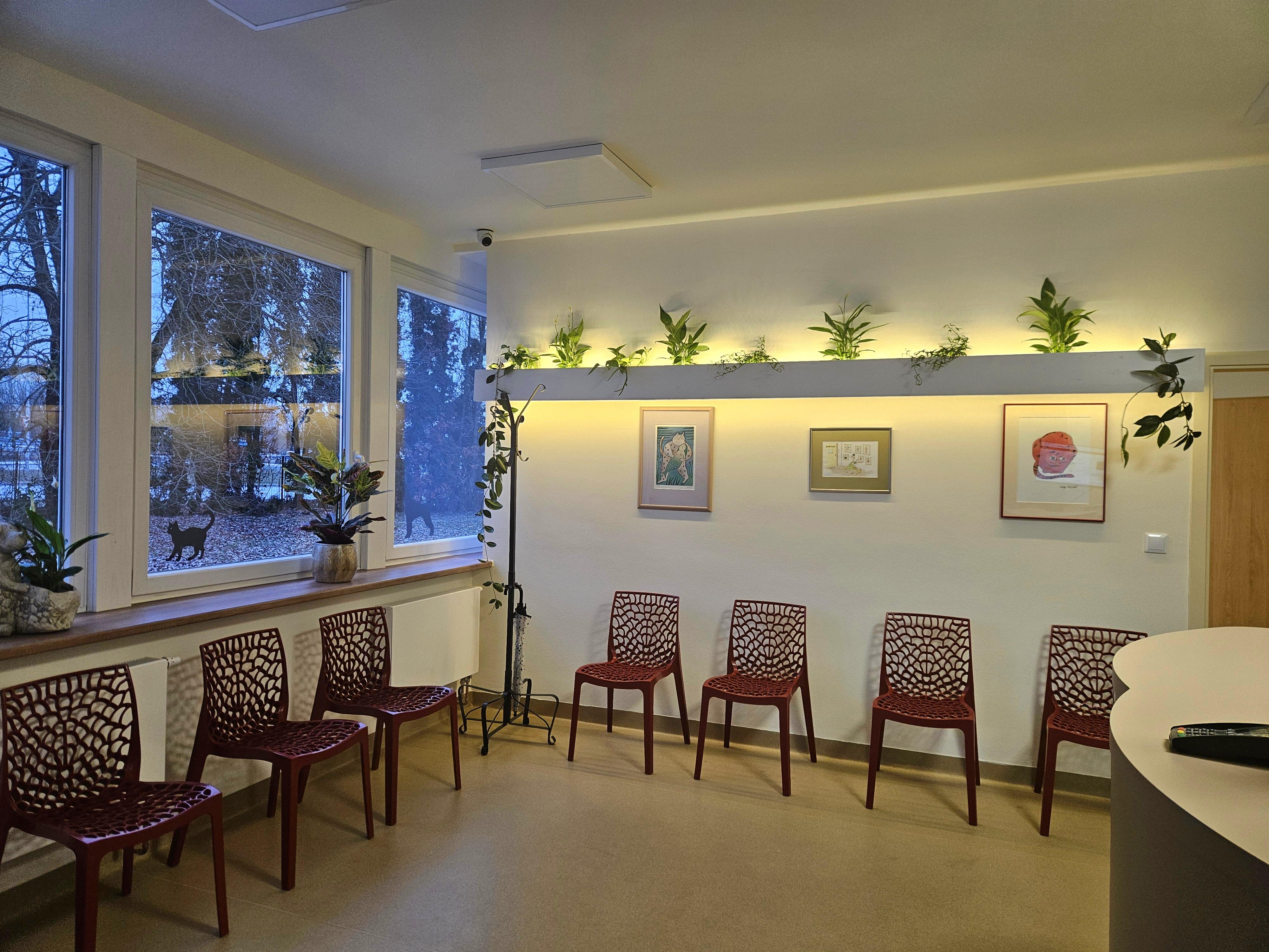 Veterinární klinika Hošek foto 3