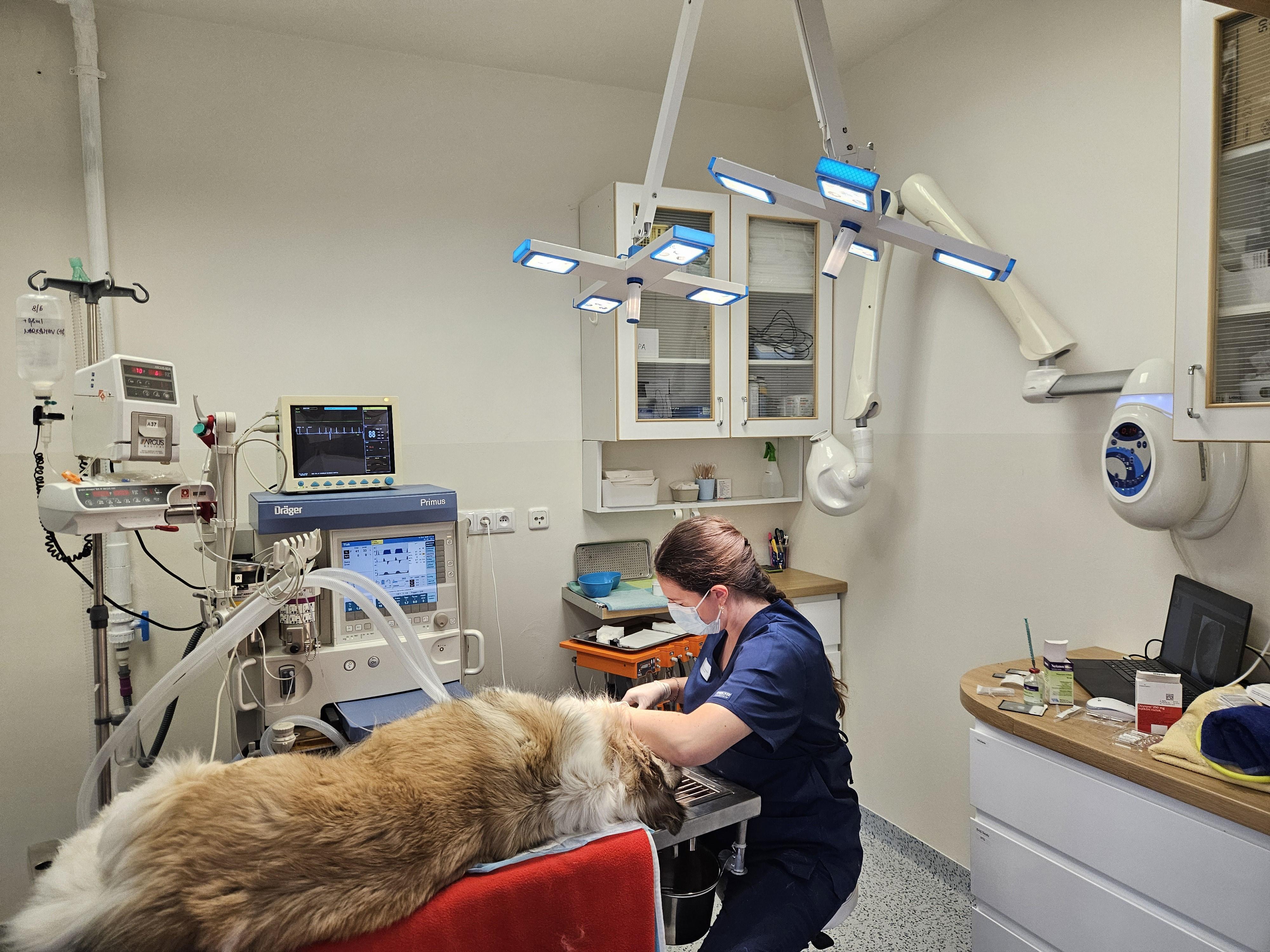 Veterinární klinika Hošek foto 2