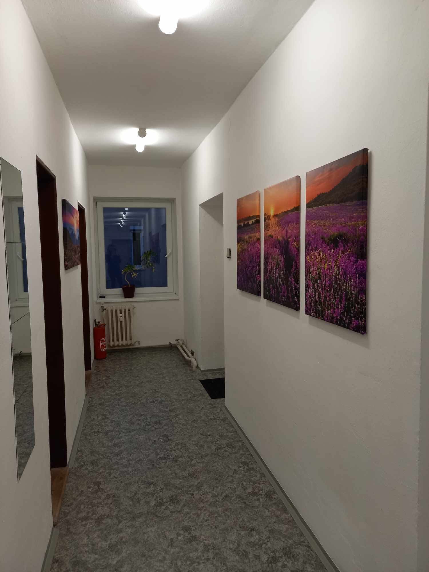 Daně a účty CZ s.r.o. foto 3