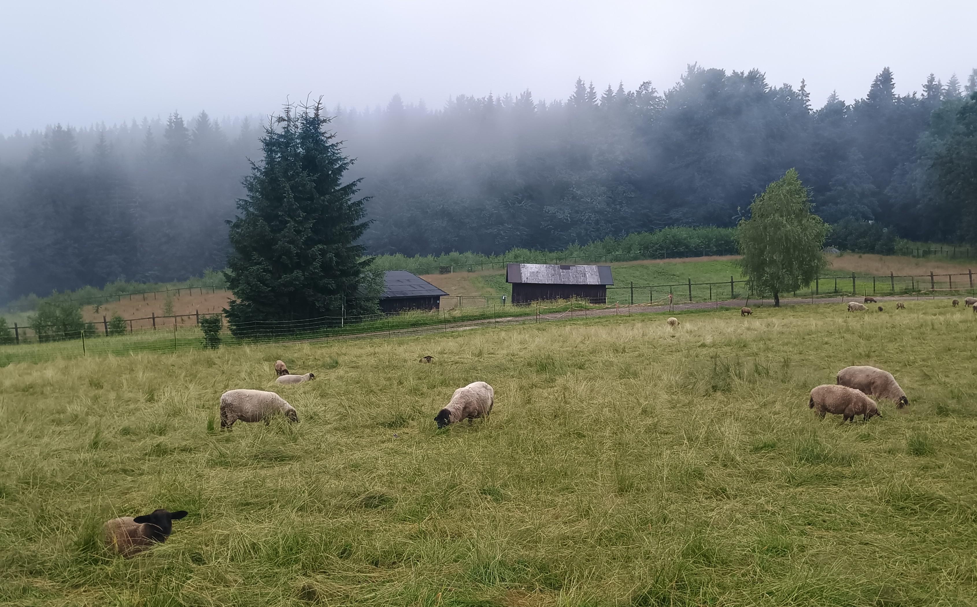 Chata Rezek foto 2