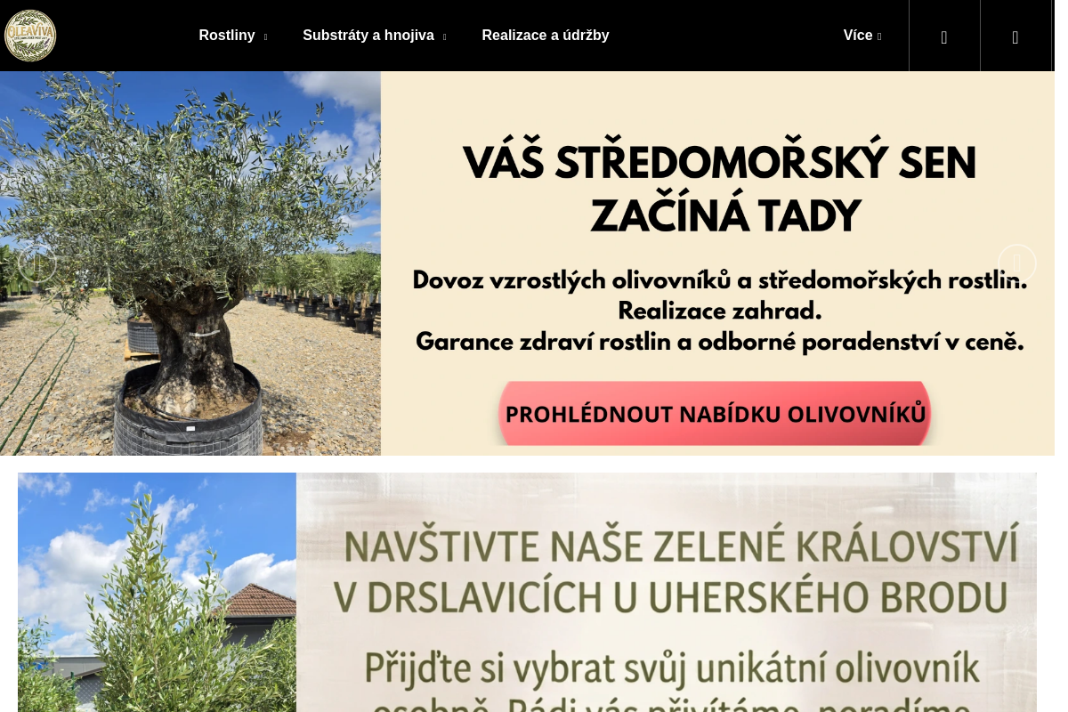 Oleaviva.cz