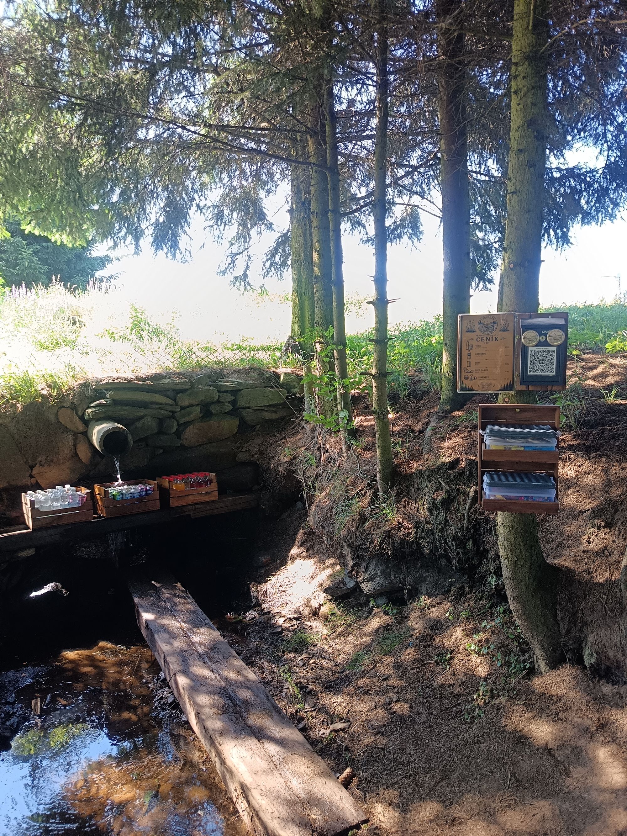 Lesní bar Havlíčkův Brod foto 2