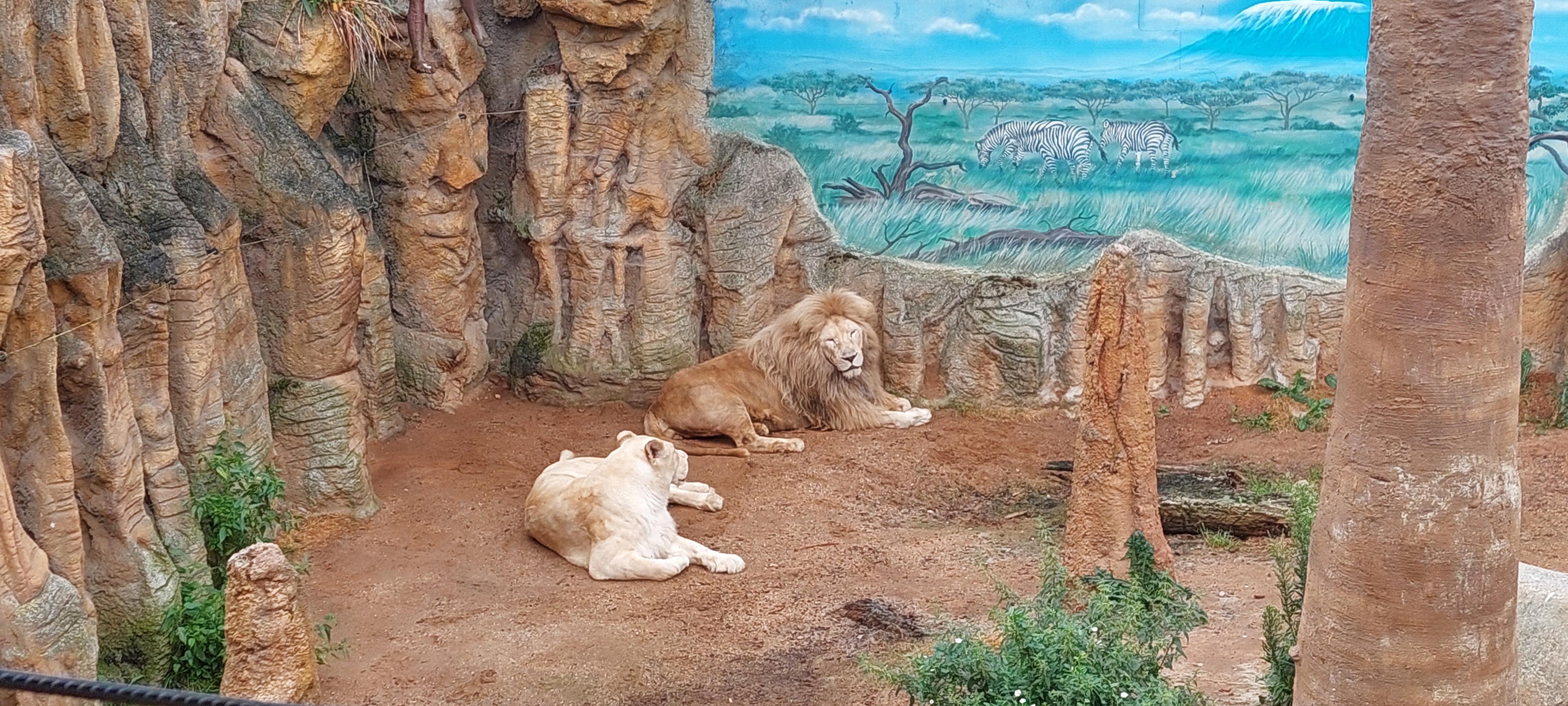 Zoo Plasy foto 4
