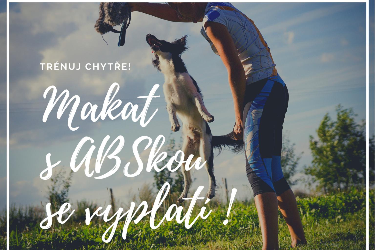 Psí škola ABS foto 1