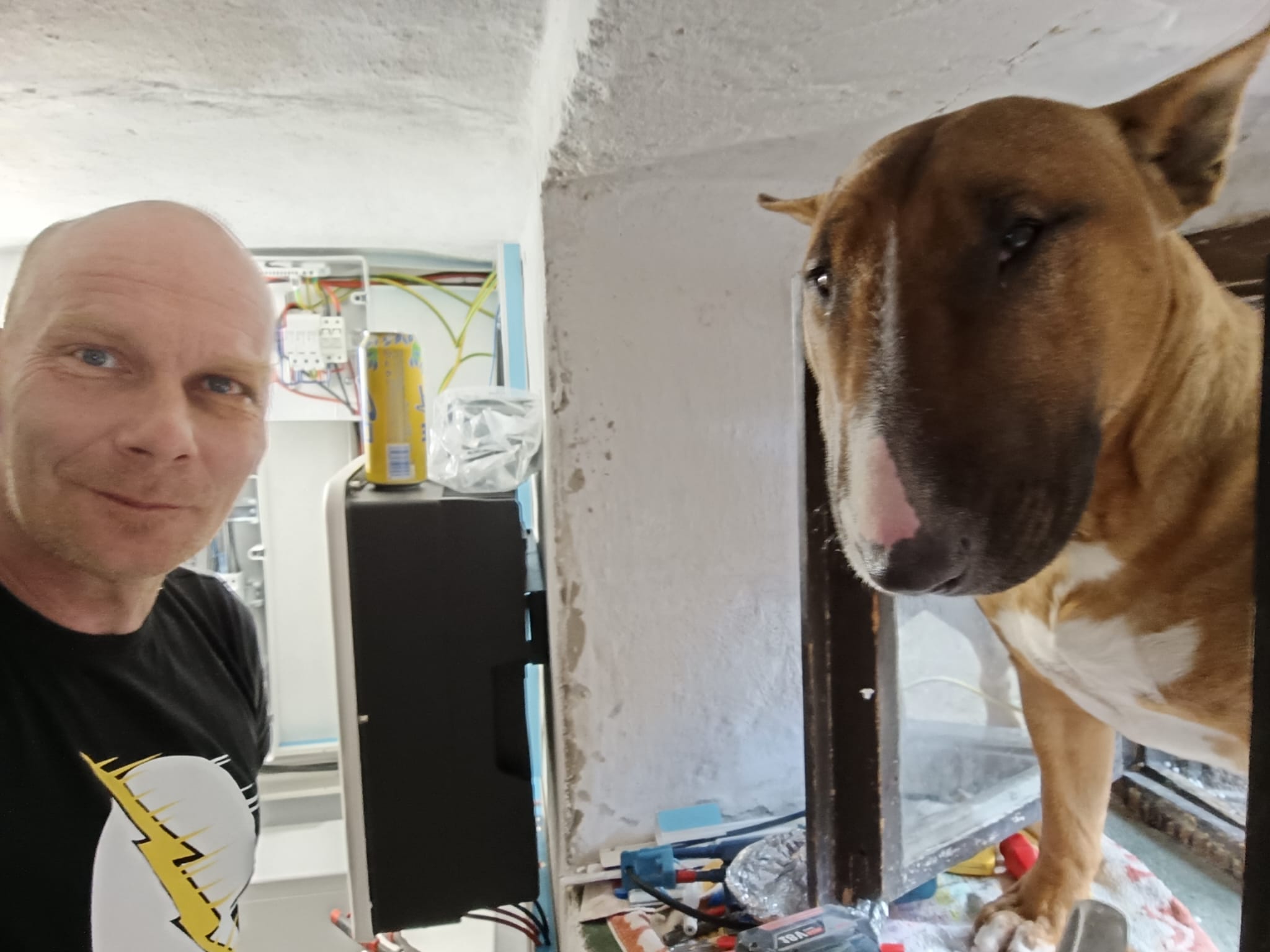 Elektroservis Pittl foto 6