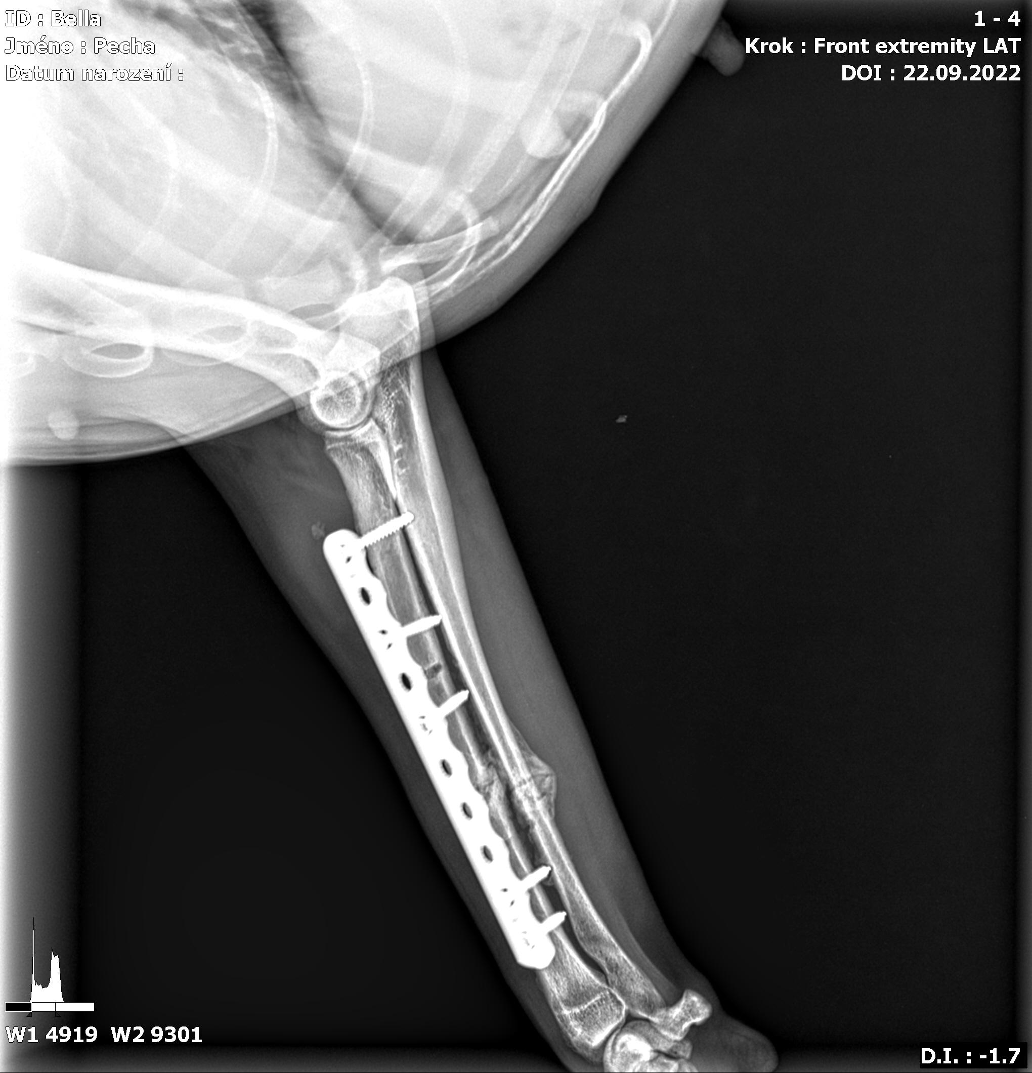 Veterinární klinika Hošek foto 4
