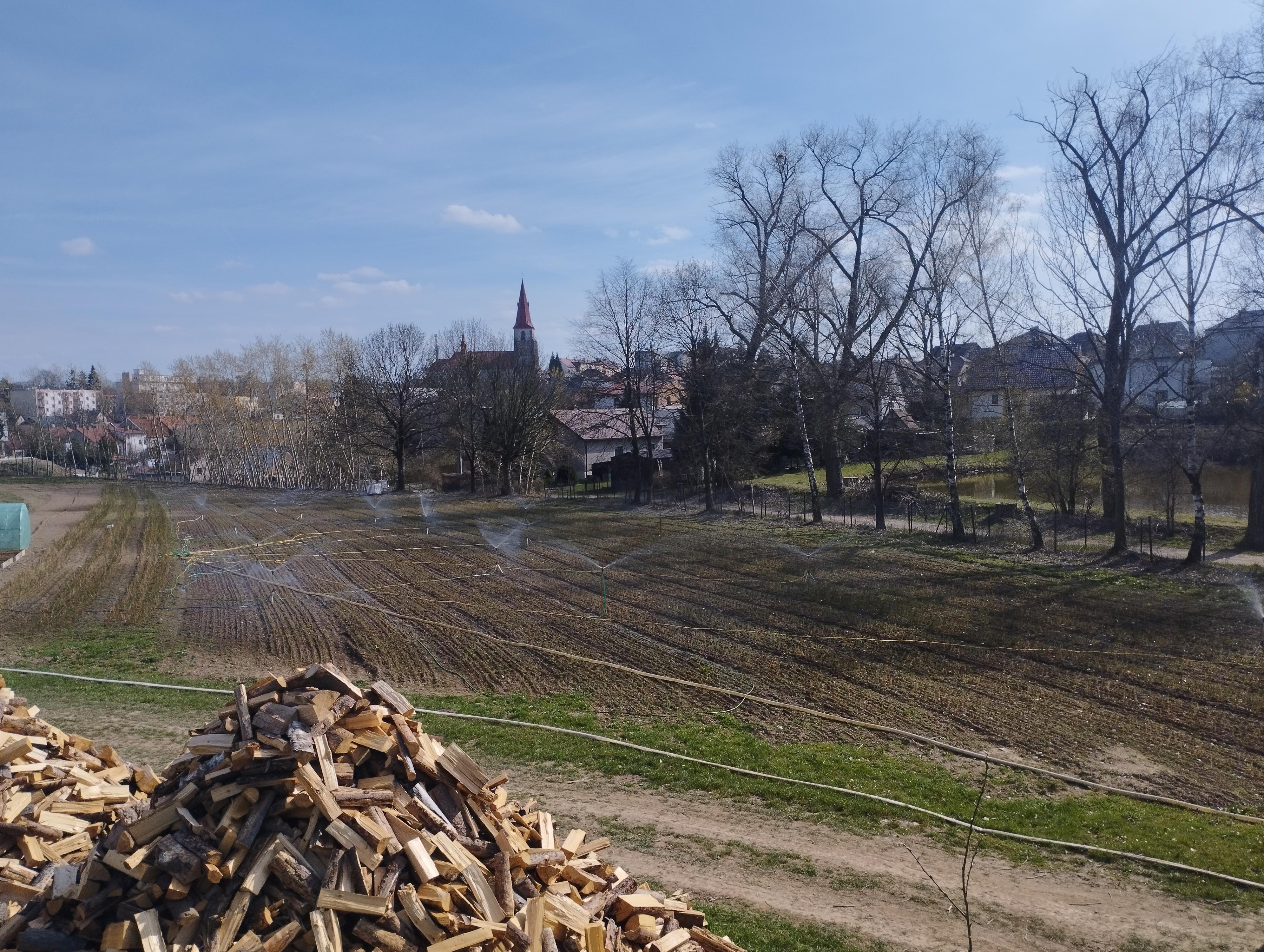 Lesní školka Chotěboř foto 2