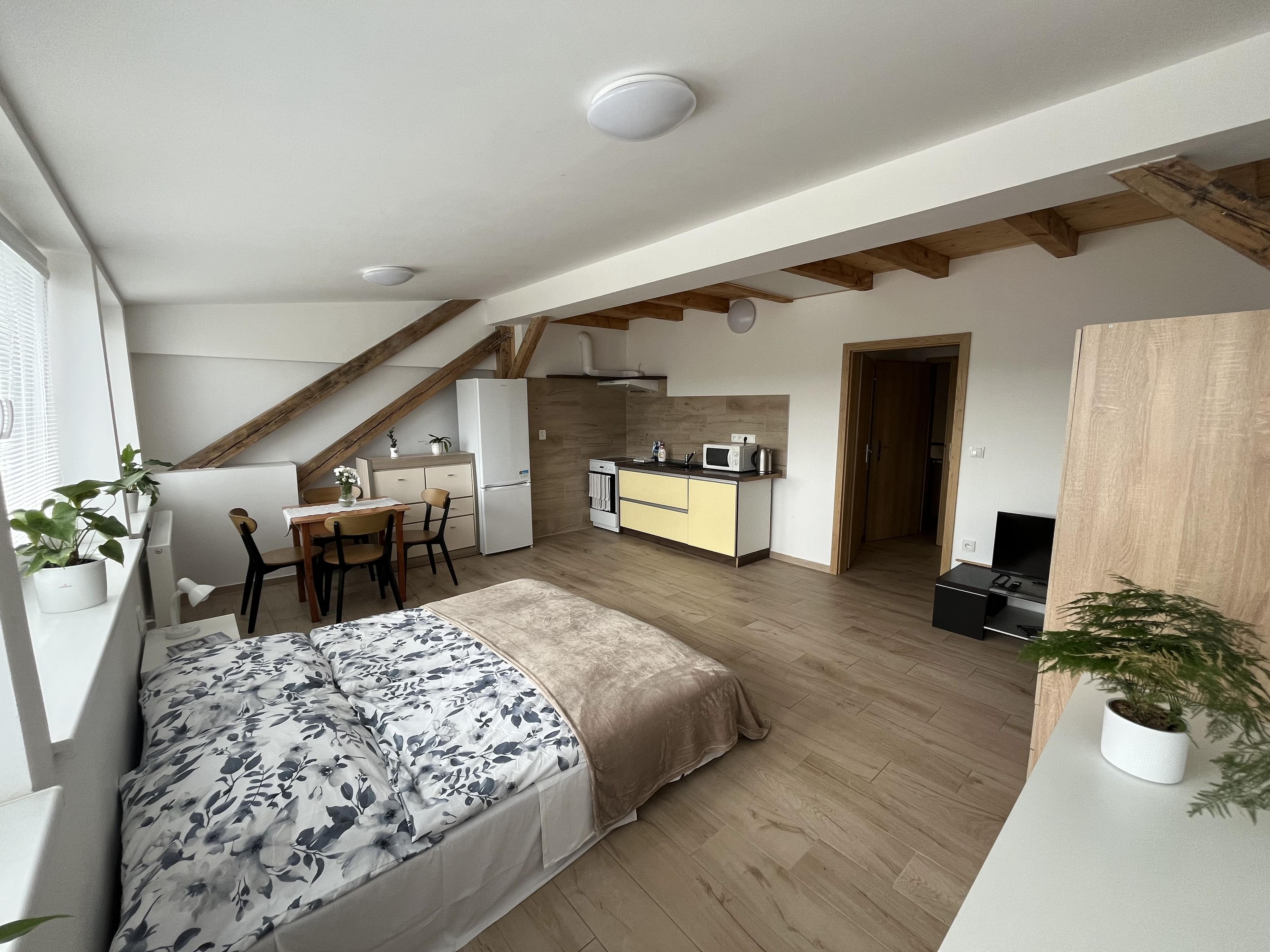 Ubytování ve Vile II - ubytovna a apartmány Jihlava foto 2