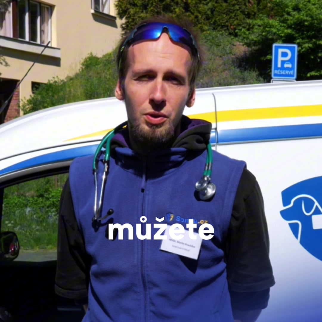 Sonda.cz foto 2 (náhled videa)