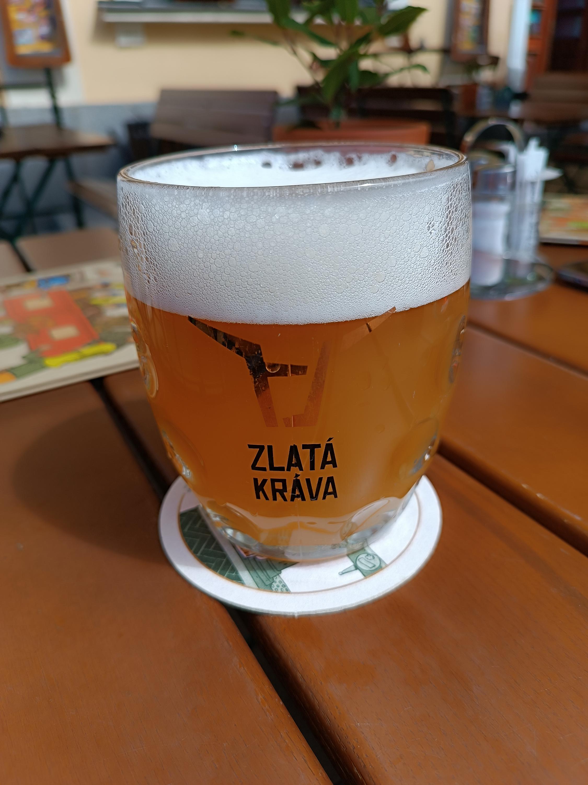 Pivovar Zlatá kráva foto 6