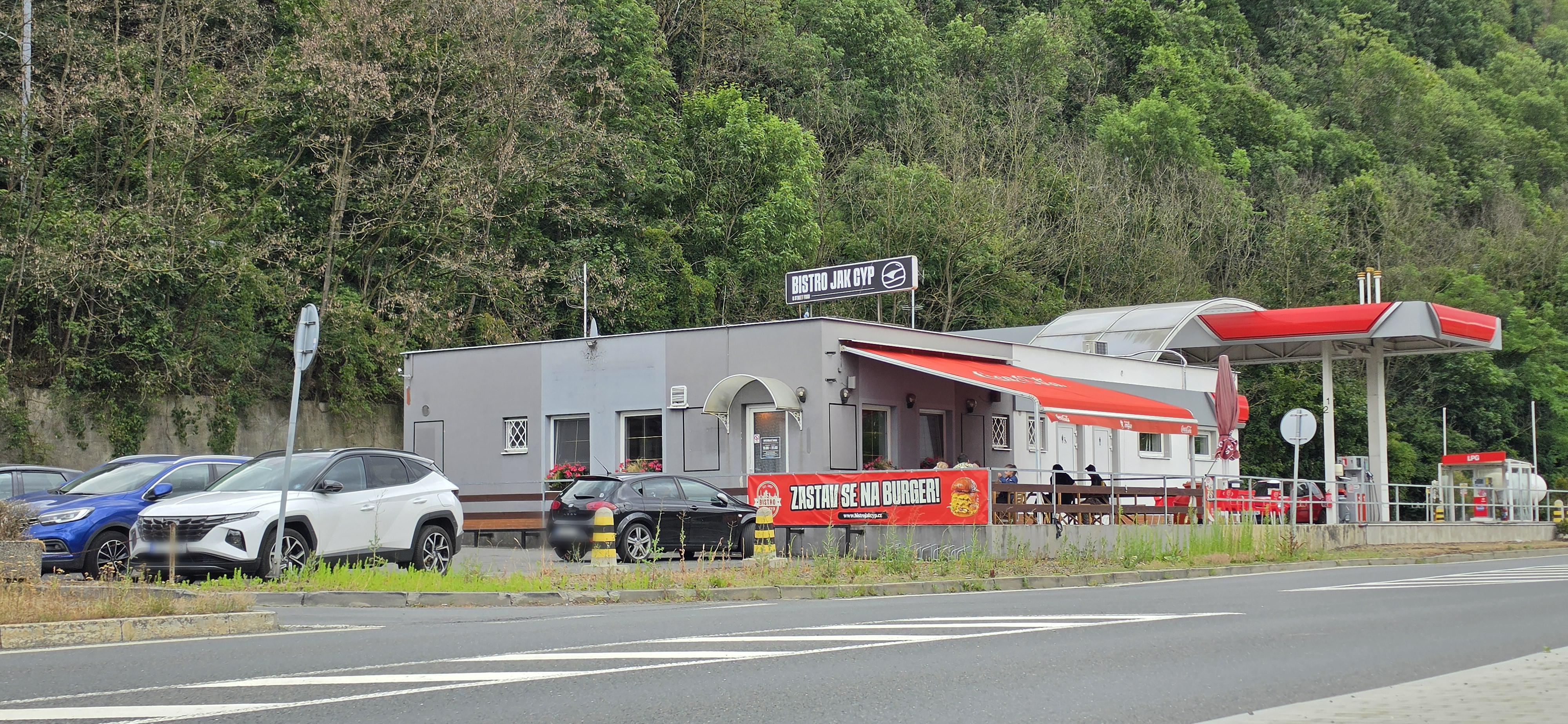 Bistro jak cyp