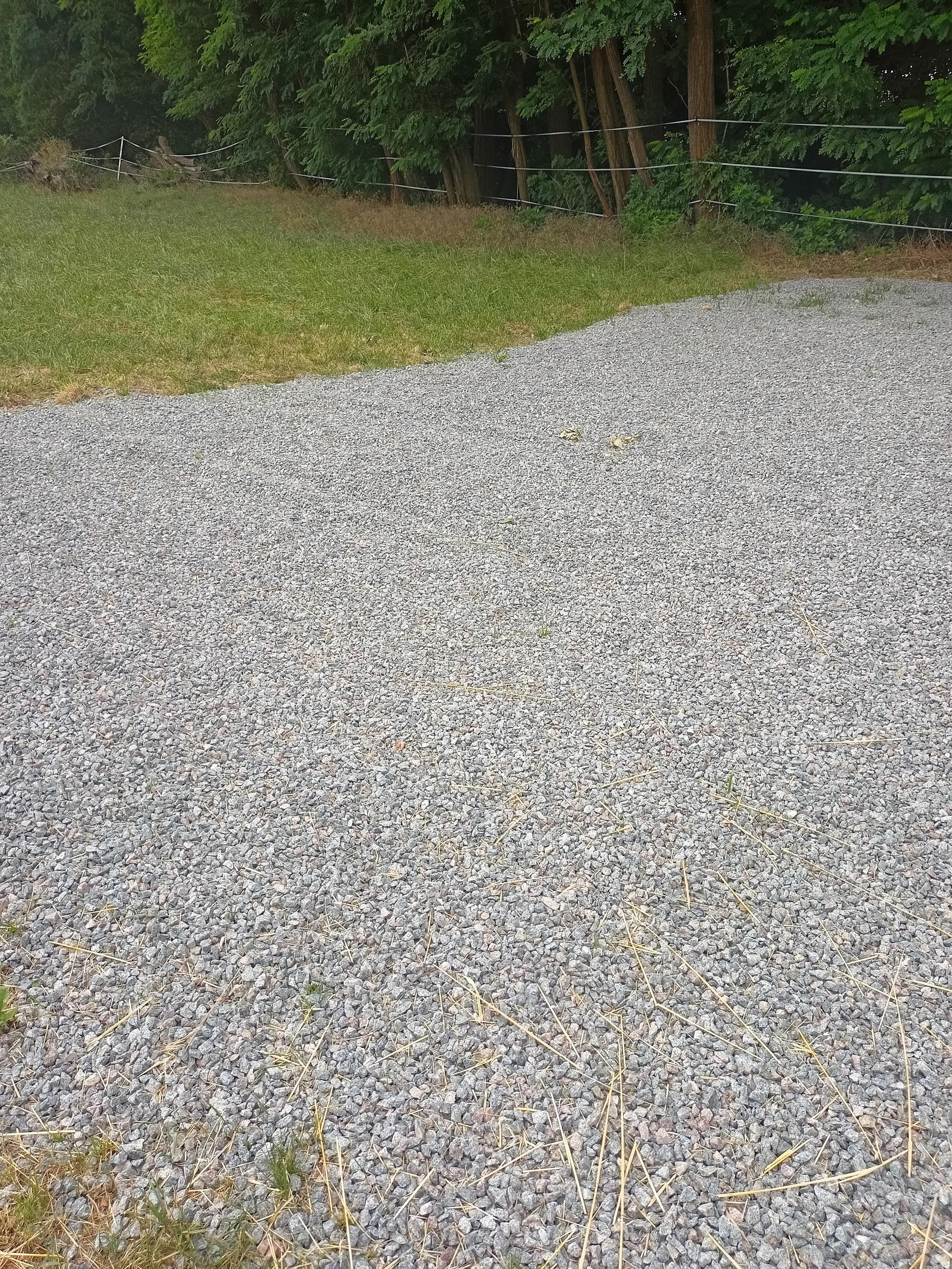 Karavanové stání Dobřínsko foto 2