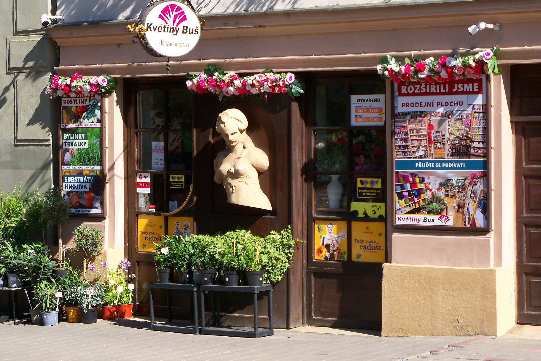 Květiny Buš foto 2
