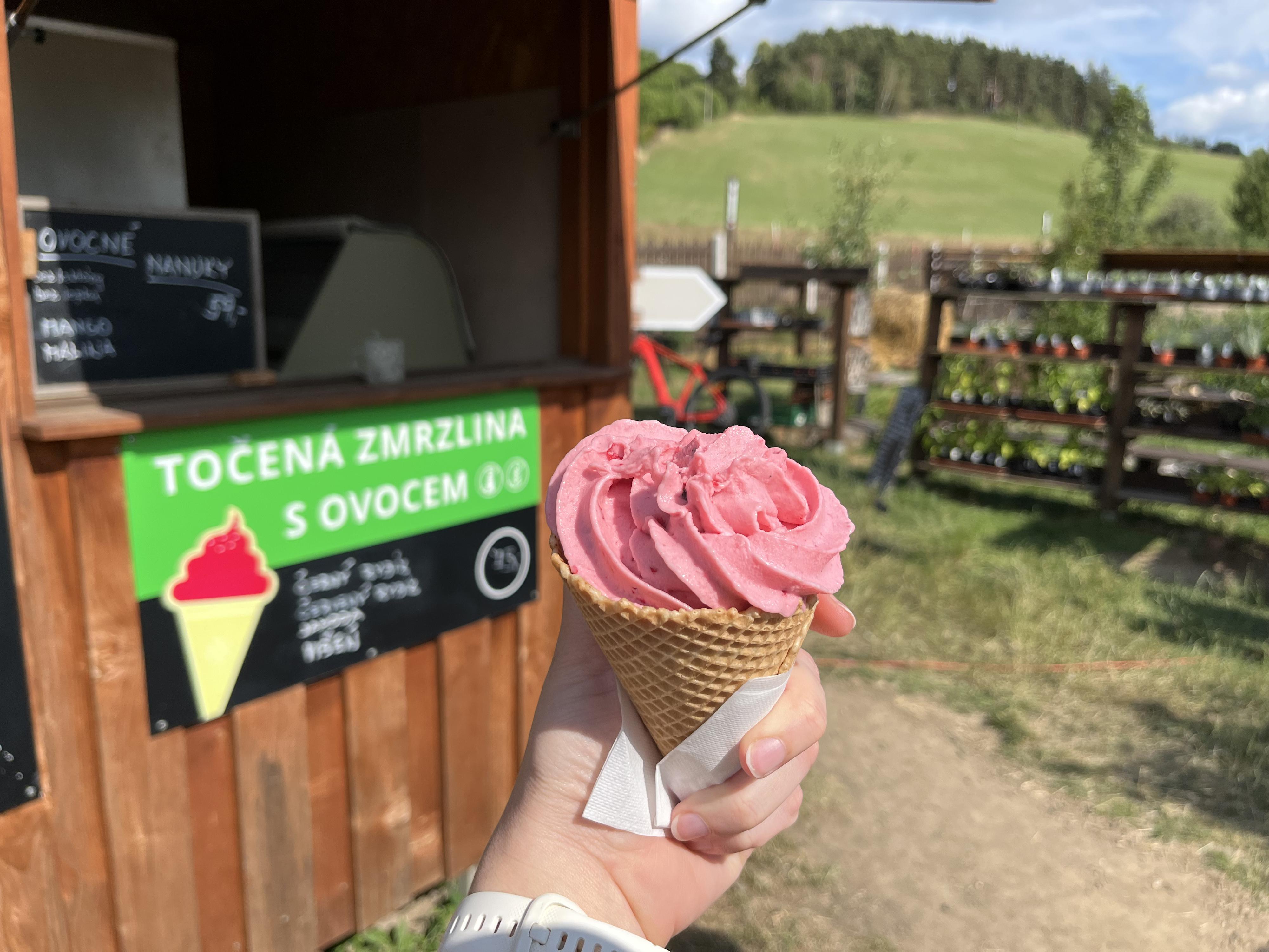 Zmrzlina z Pastviny foto 3