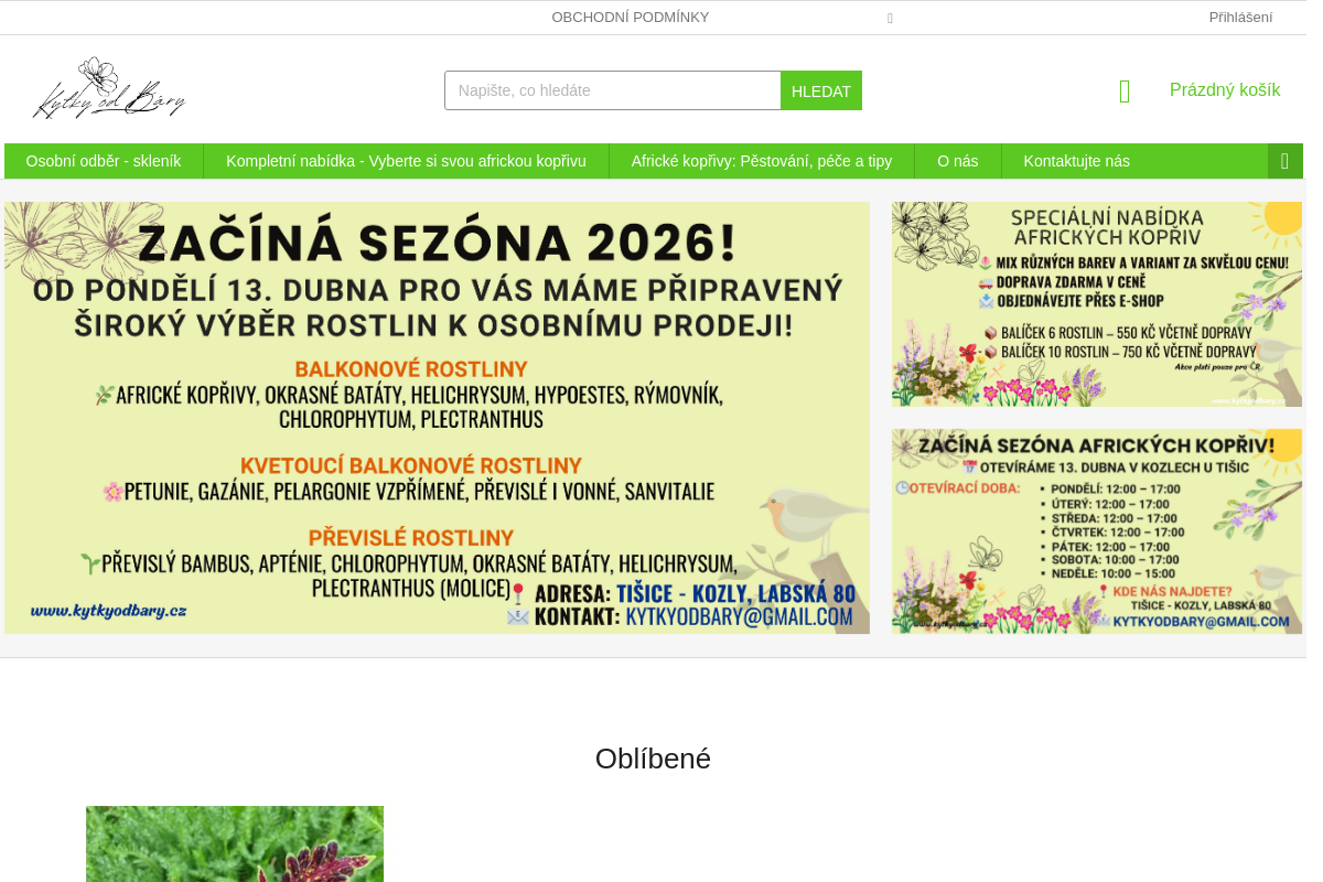 Kytky od Báry