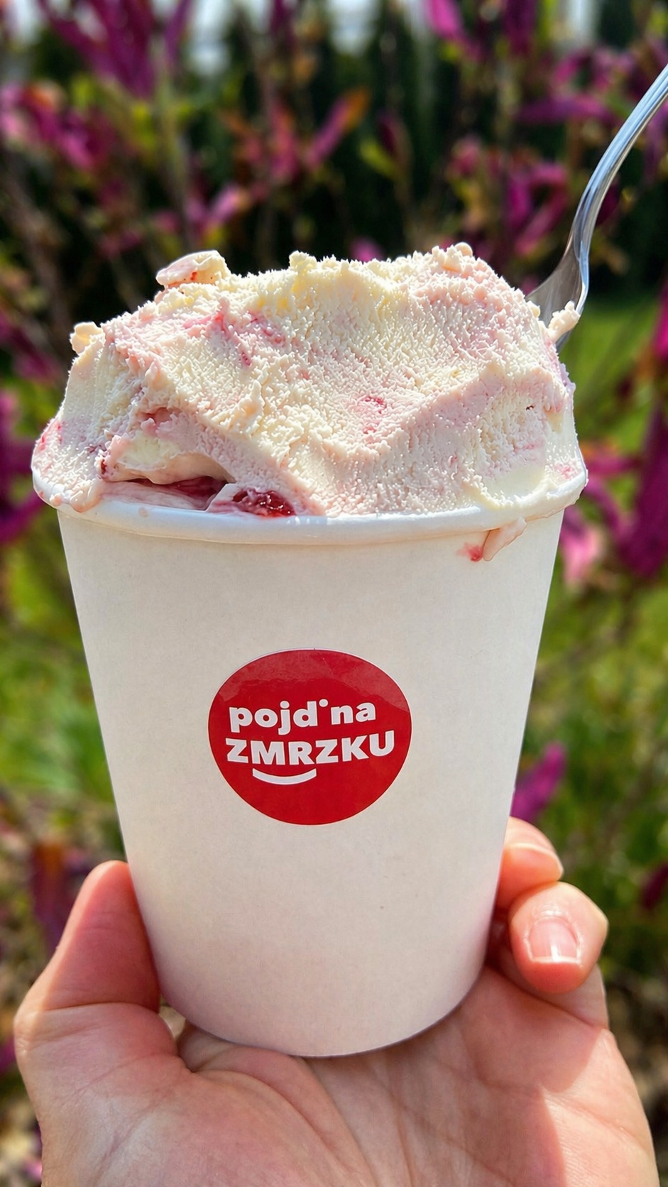 Pojď na zmrzku foto 3