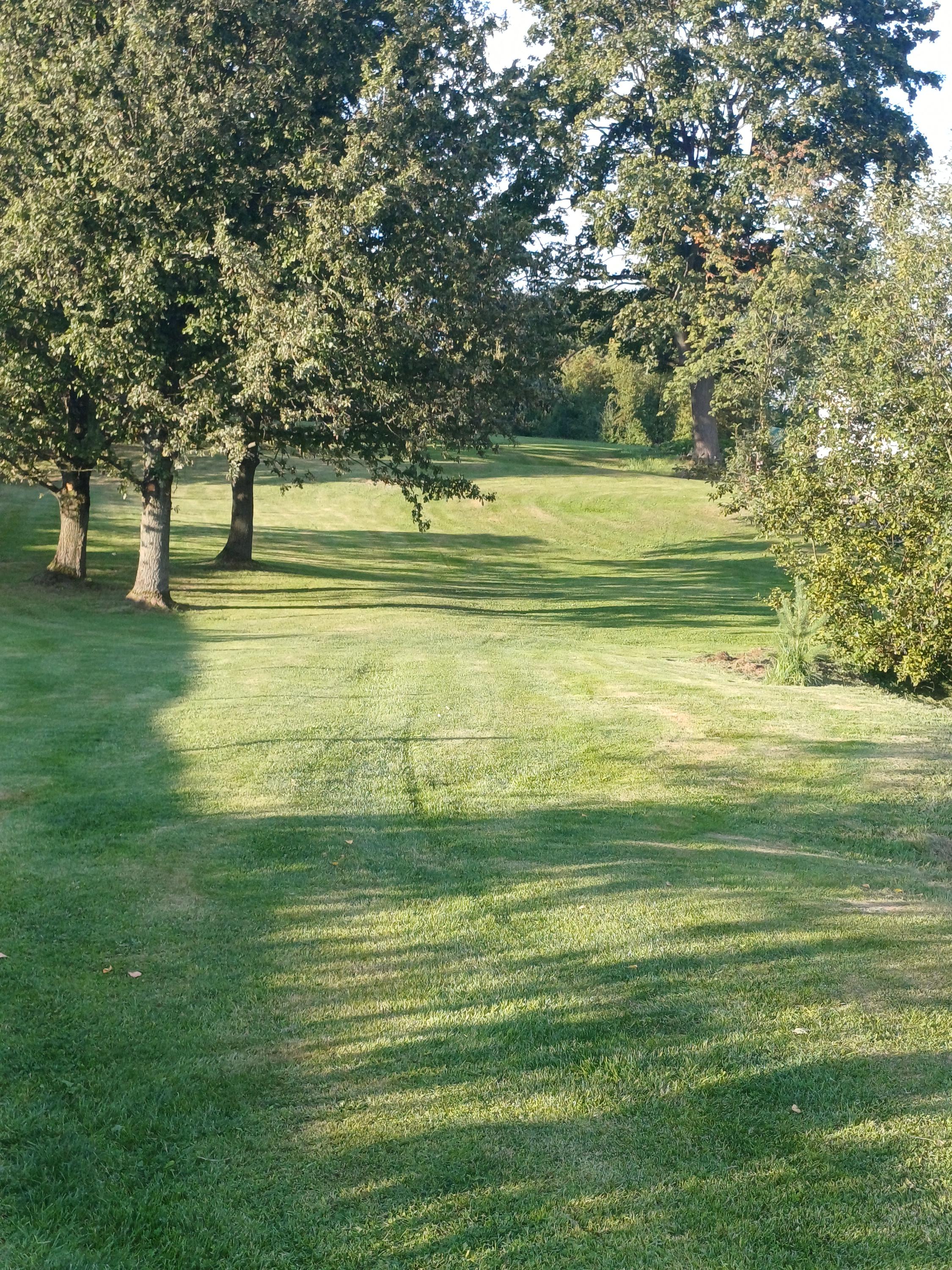 KaravanPark Velký Šenov foto 6