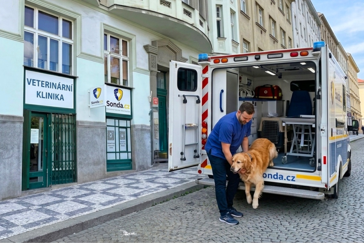 Veterinární klinika Sonda.cz