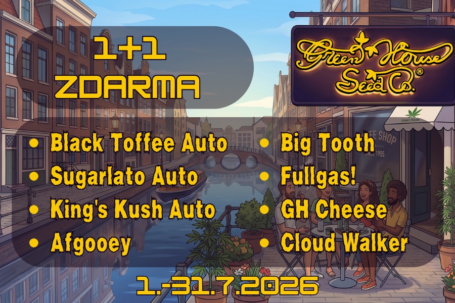 1+1 ZDARMA