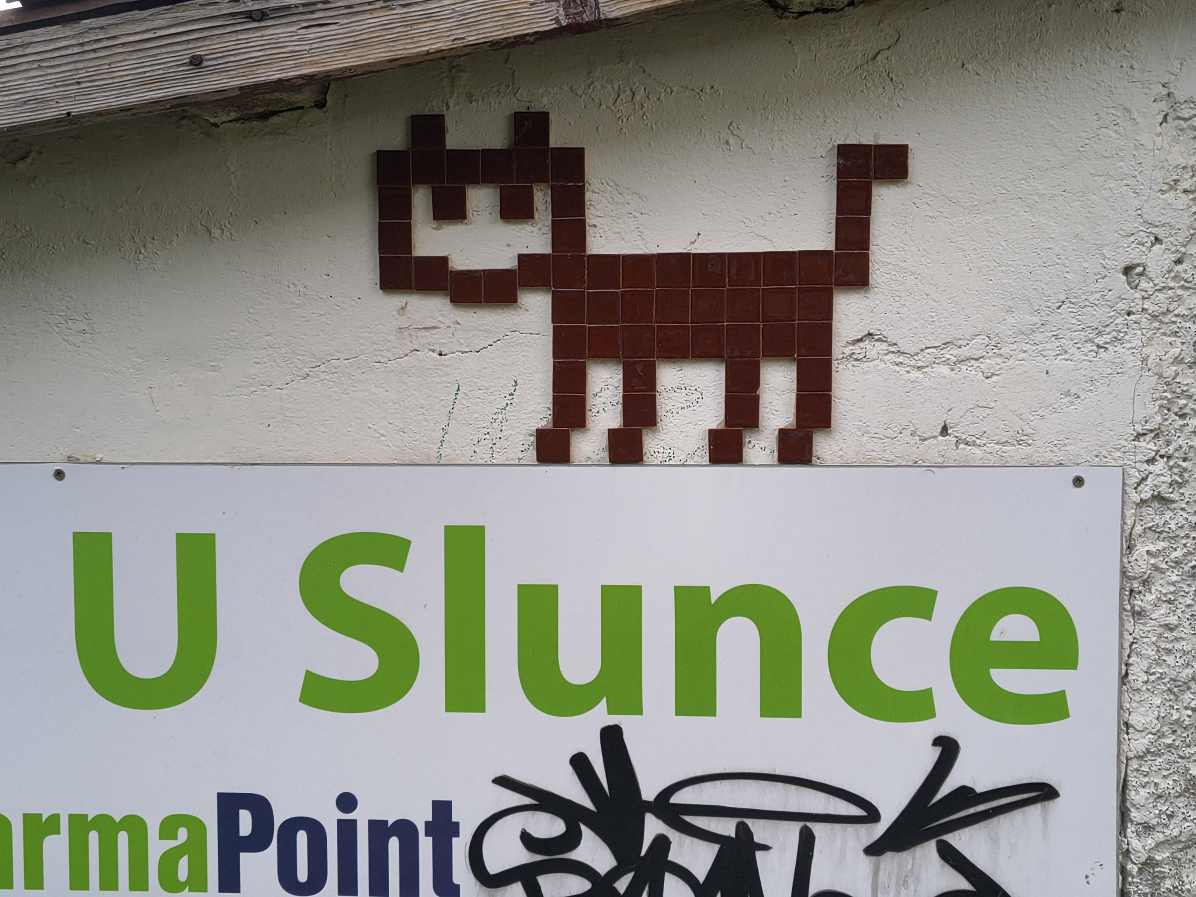 Lékárna U Slunce foto 3