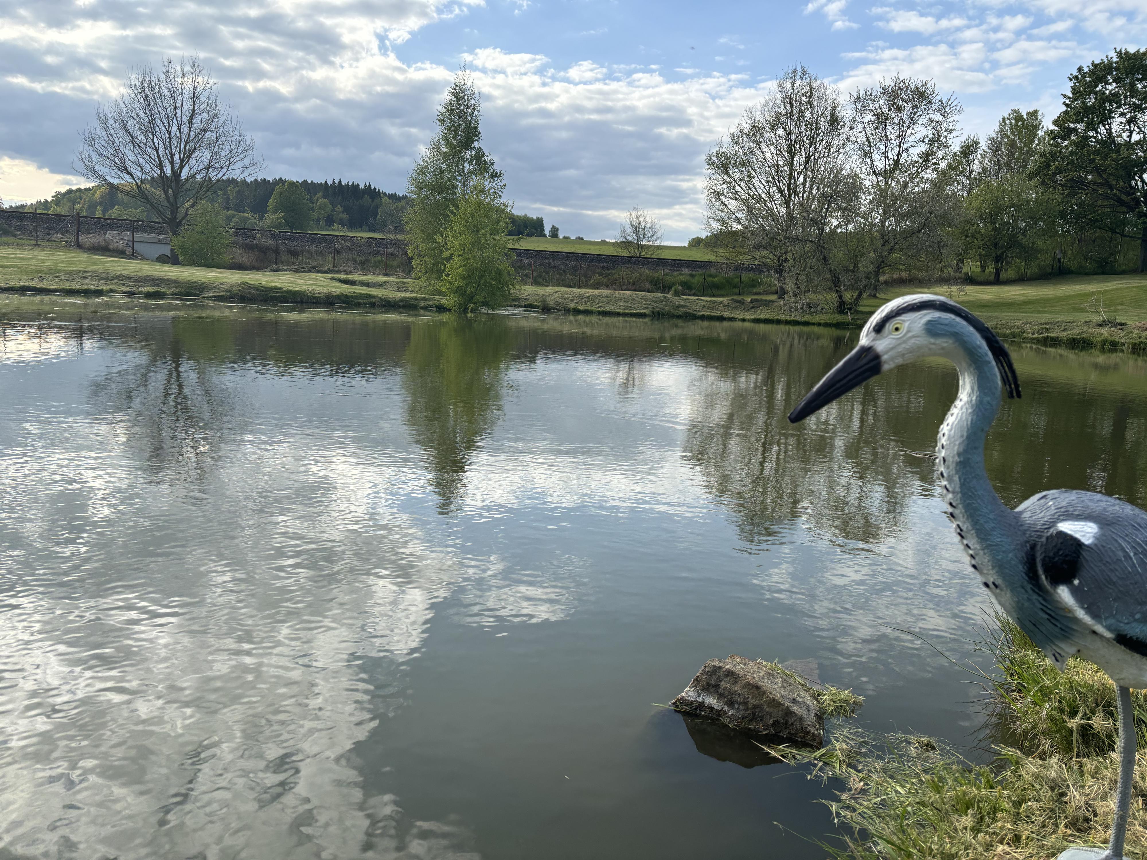 KaravanPark Velký Šenov foto 4