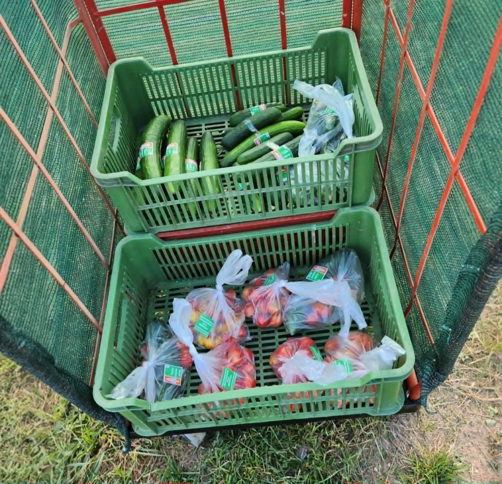Pražské sady lesy zahrady foto 4