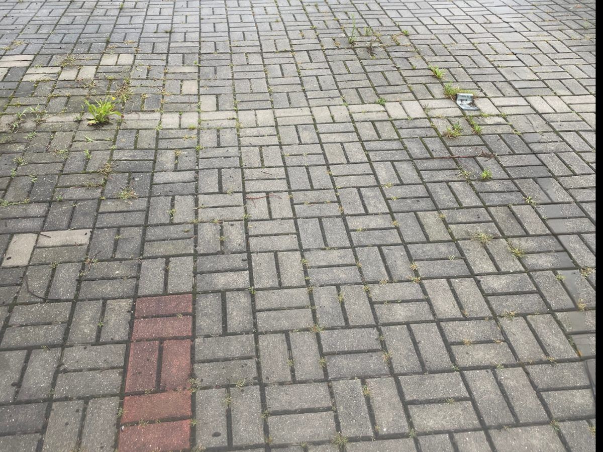 Elegantní Mytí foto 6