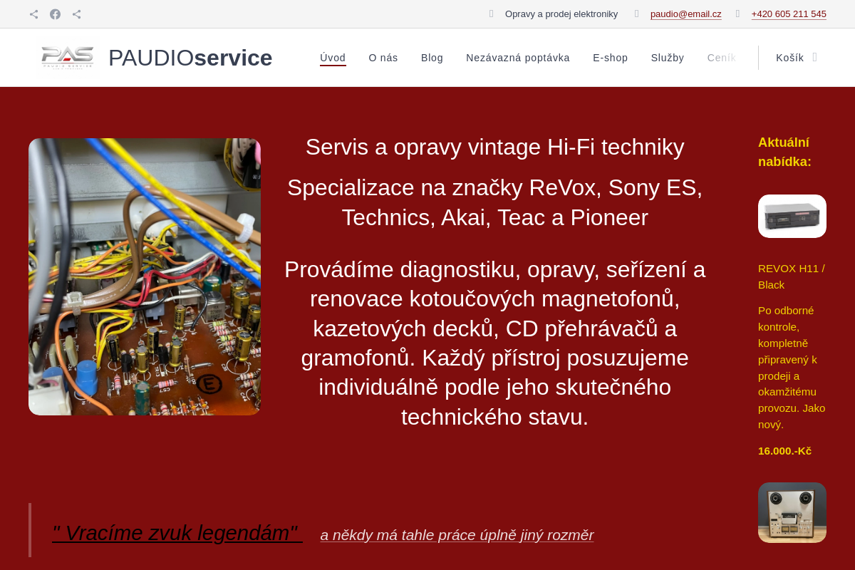 PAUDIO service - Pavel Bayer