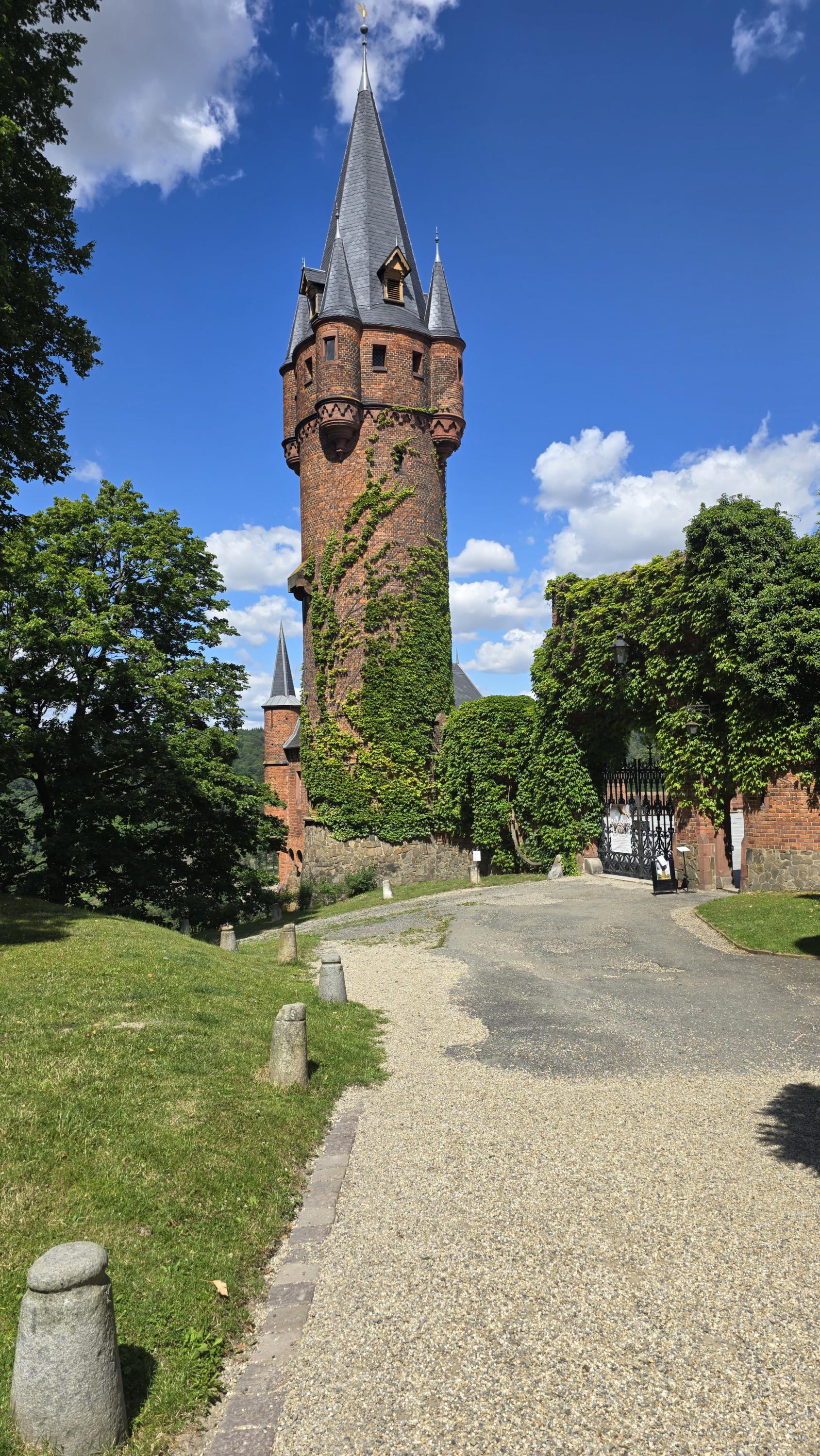 Státní zámek Hradec nad Moravicí foto 4