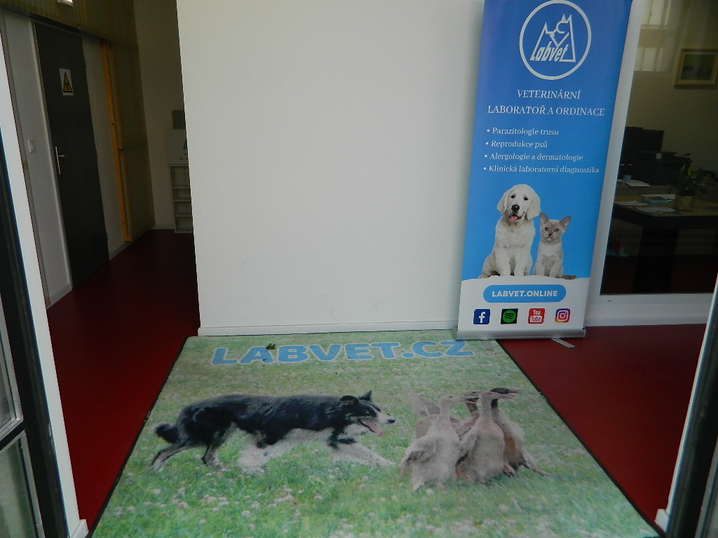 Labvet.cz - veterinární laboratoř a ordinace foto 4