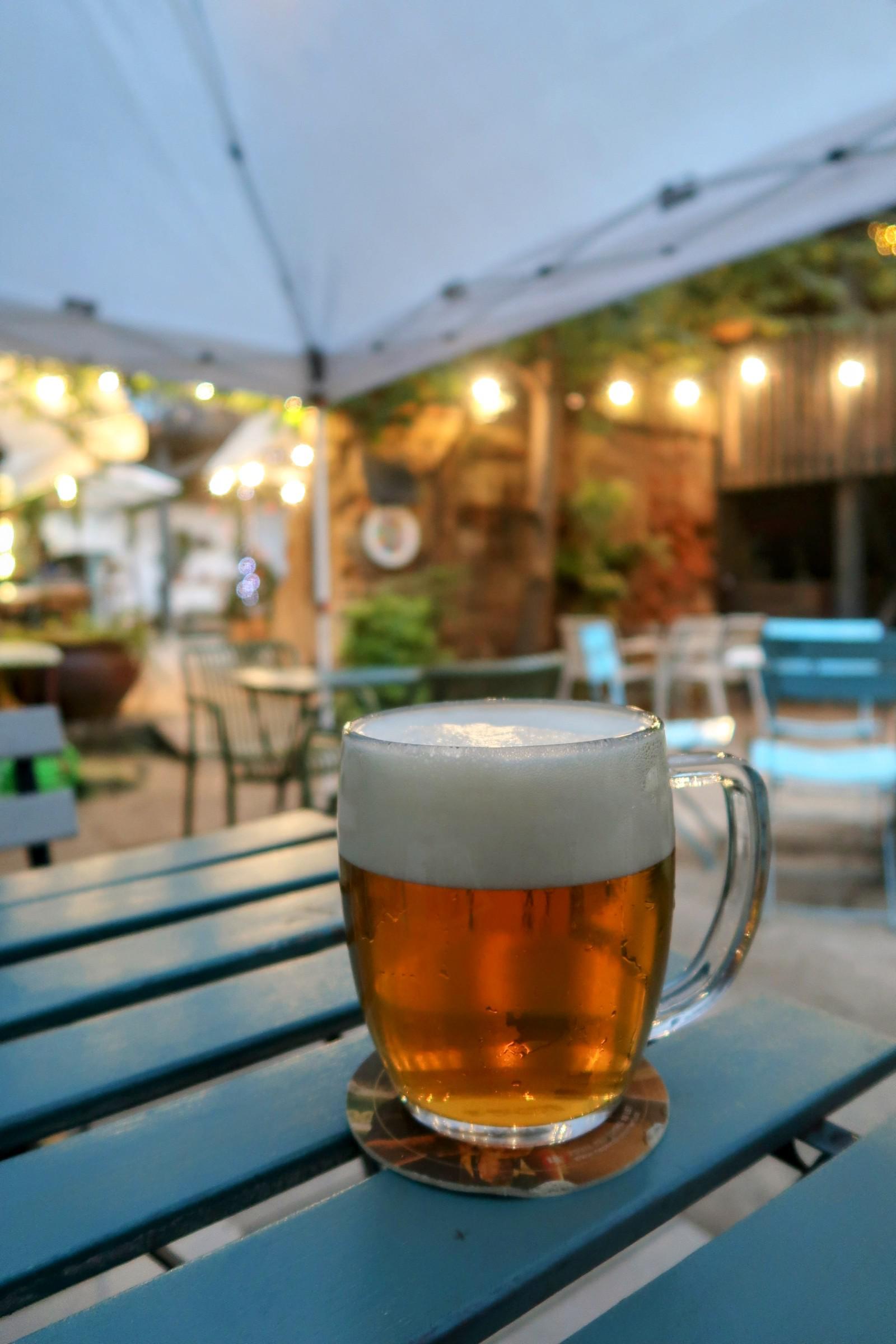 Vršovická zahrada bistro foto 1