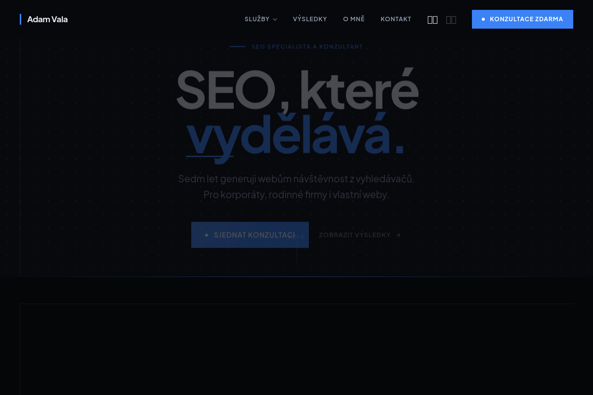 Adam Vala - SEO specialista a konzultant