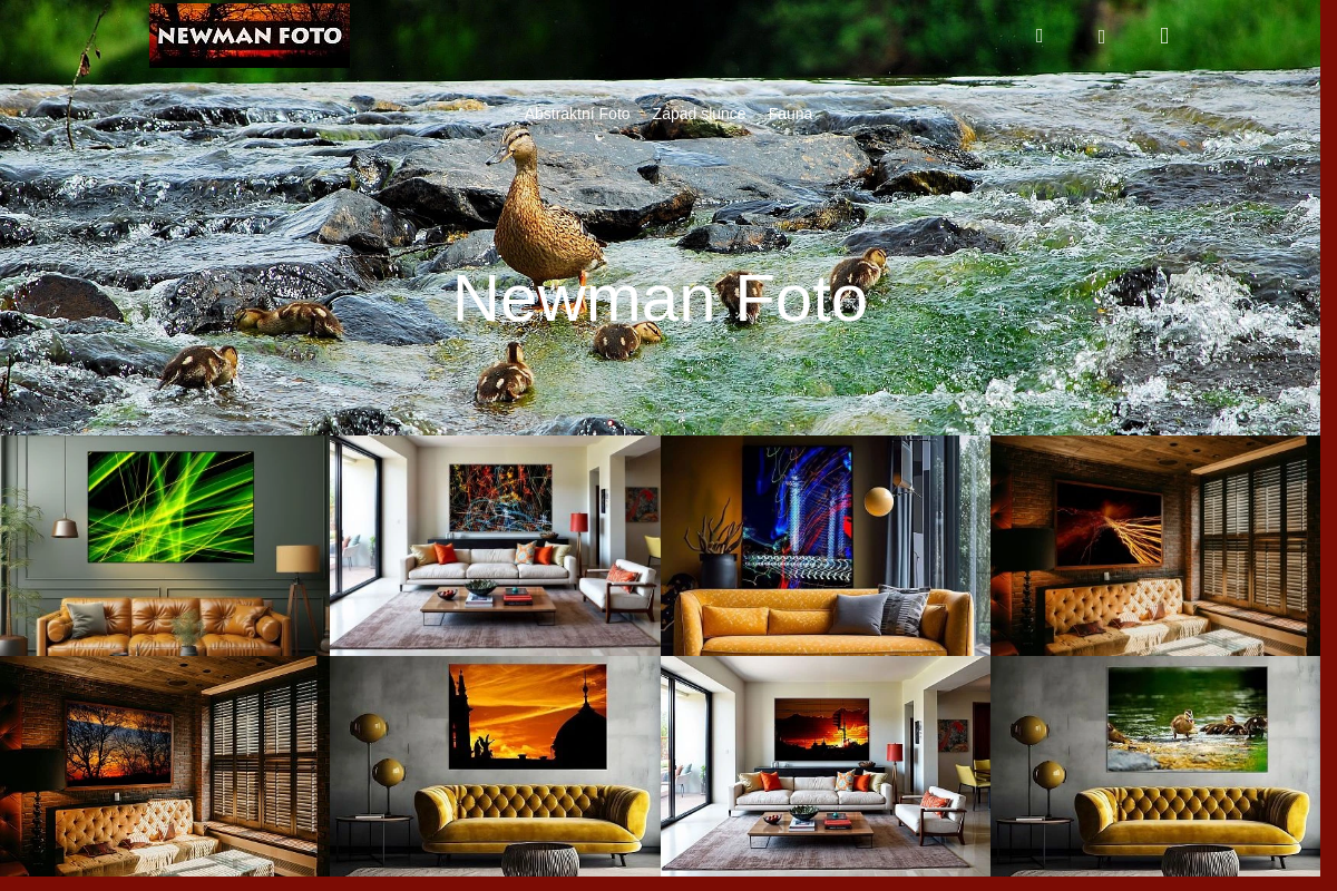 NEWMAN FOTO