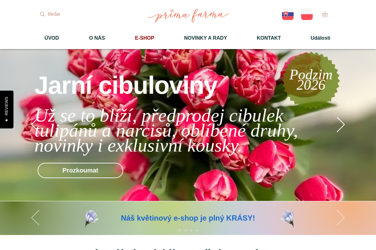 Prima kytky