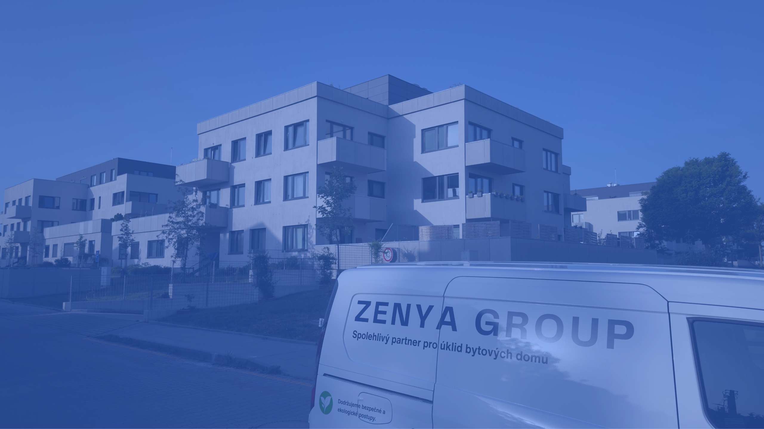 Zenya Group foto 5