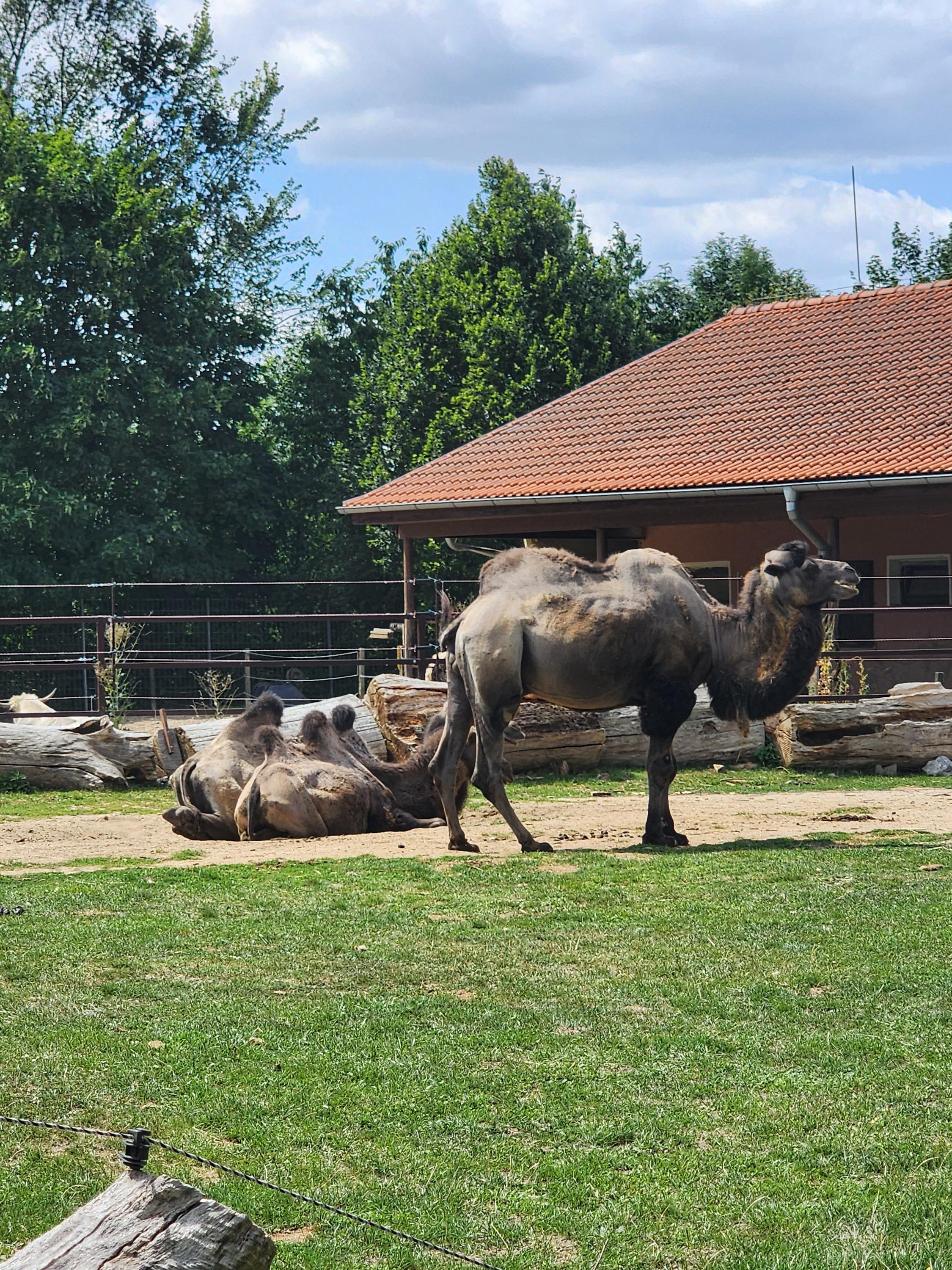 ZOO PARK Vyškov foto 5