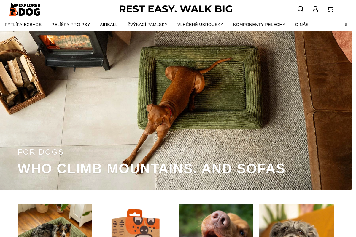Theexplorerdog.com