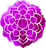 logo Mapacho