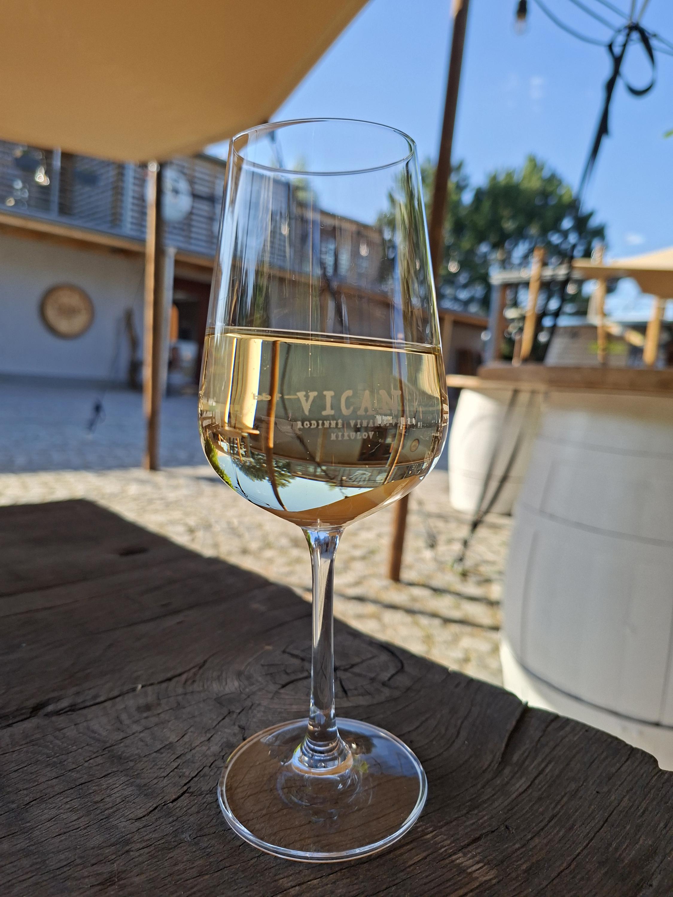 Rodinné vinařství VICAN foto 2